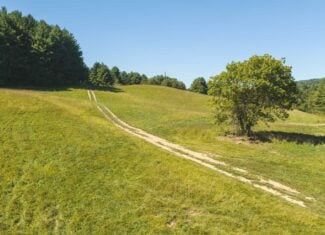 Large Recreational Tract for Sale in Bent Mountain VA