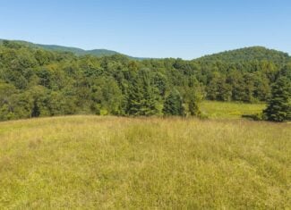 Large Recreational Tract for Sale in Bent Mountain VA