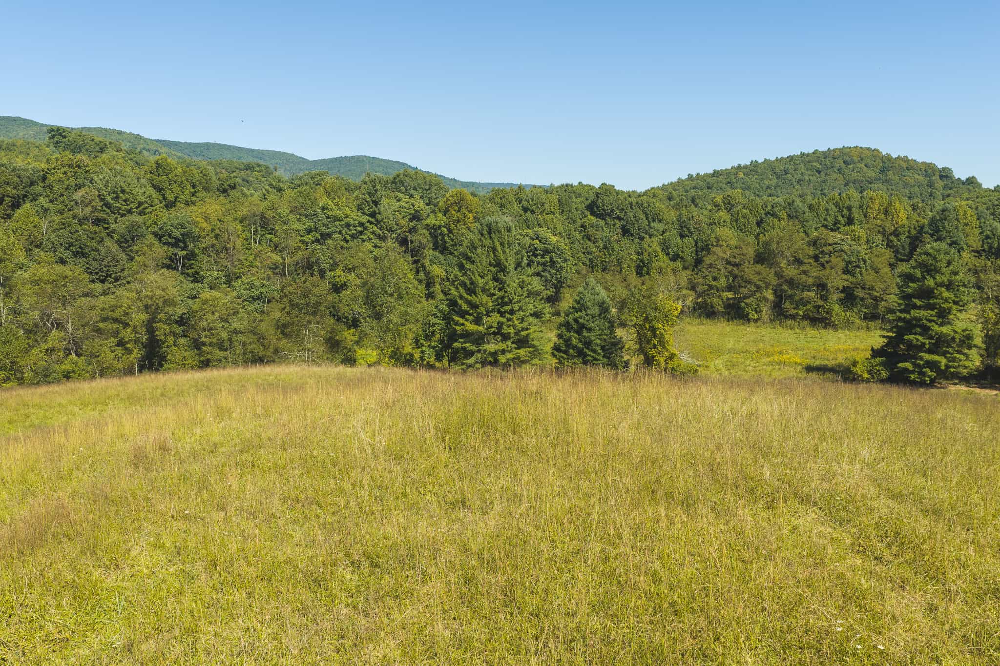 Large Recreational Tract for Sale in Bent Mountain VA
