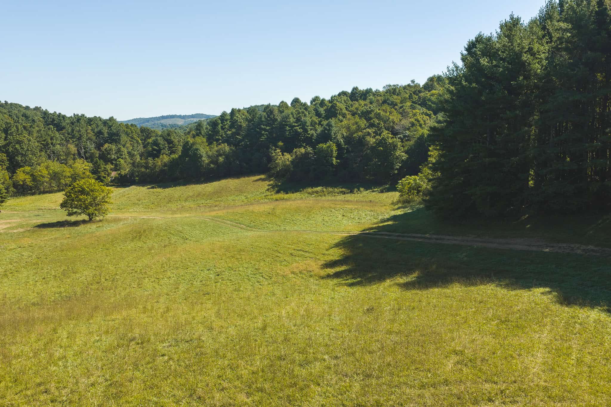 Large Recreational Tract for Sale in Bent Mountain VA