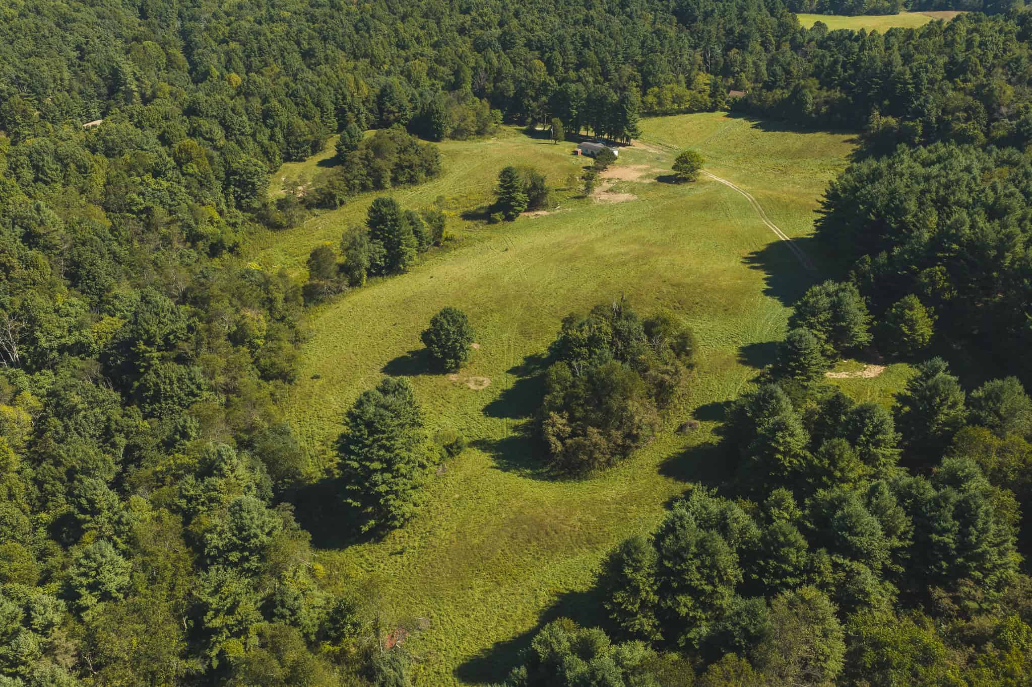 Large Recreational Tract for Sale in Bent Mountain VA