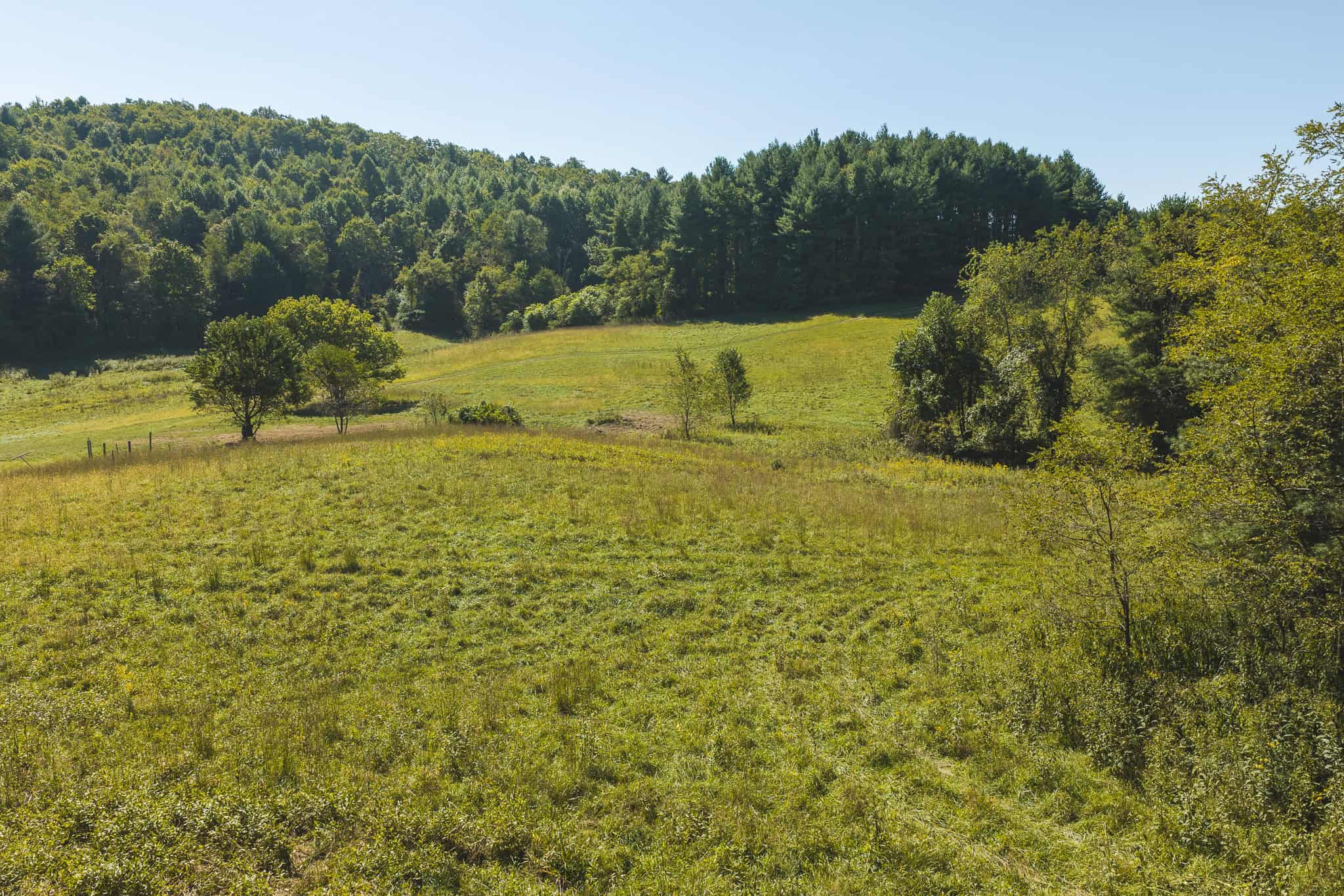 Large Recreational Tract for Sale in Bent Mountain VA