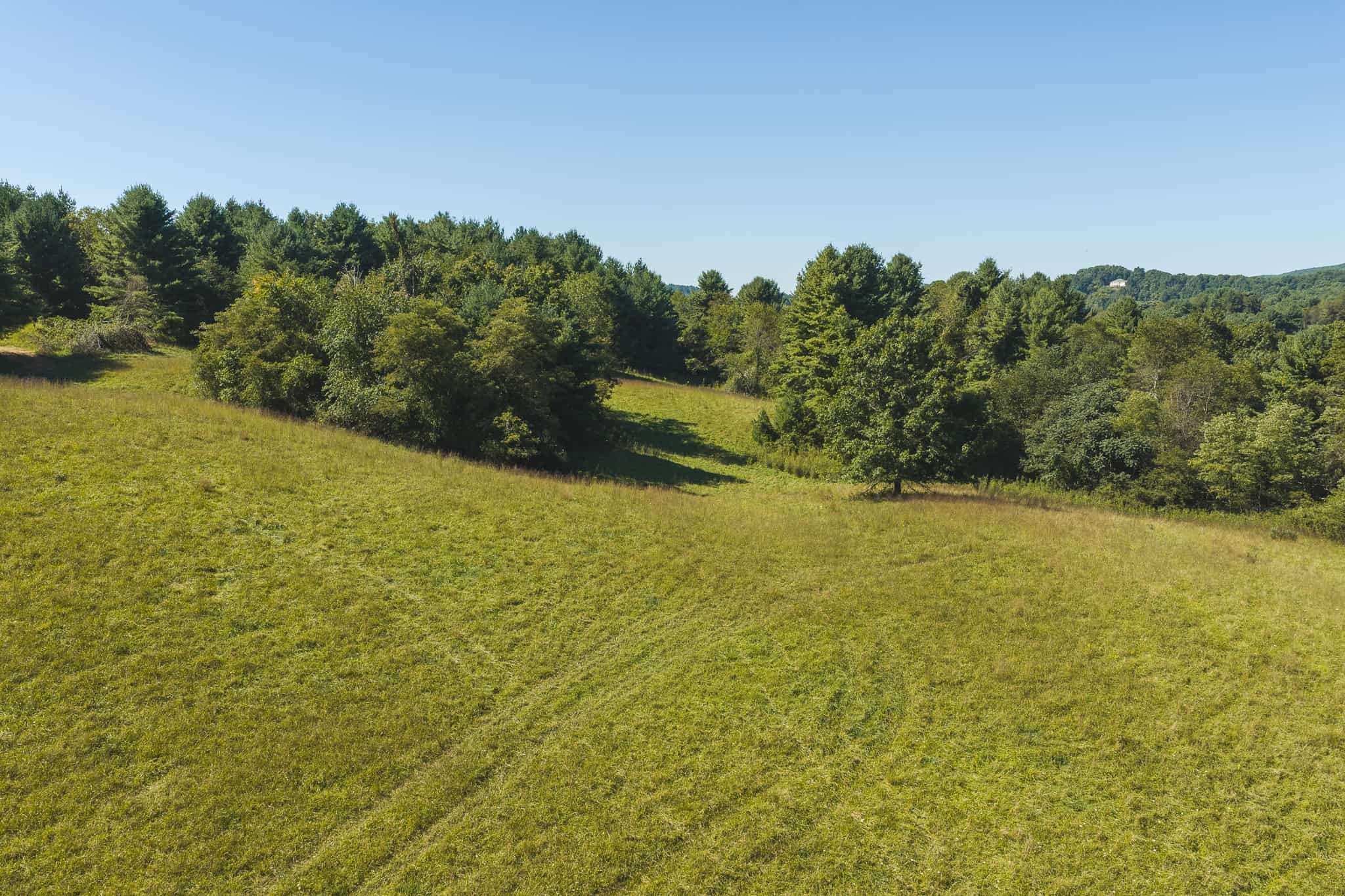 Large Recreational Tract for Sale in Bent Mountain VA