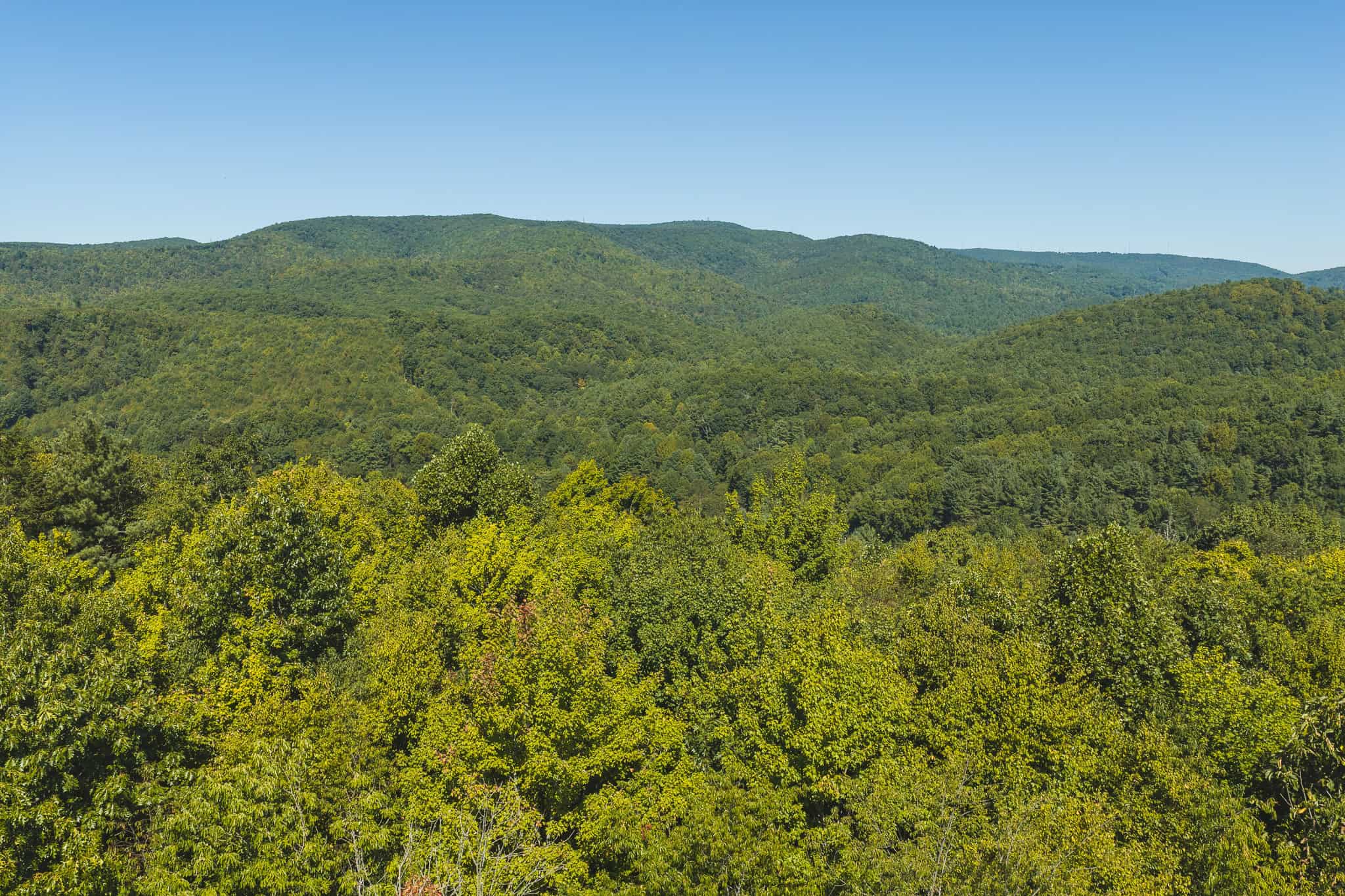 Large Recreational Tract for Sale in Bent Mountain VA