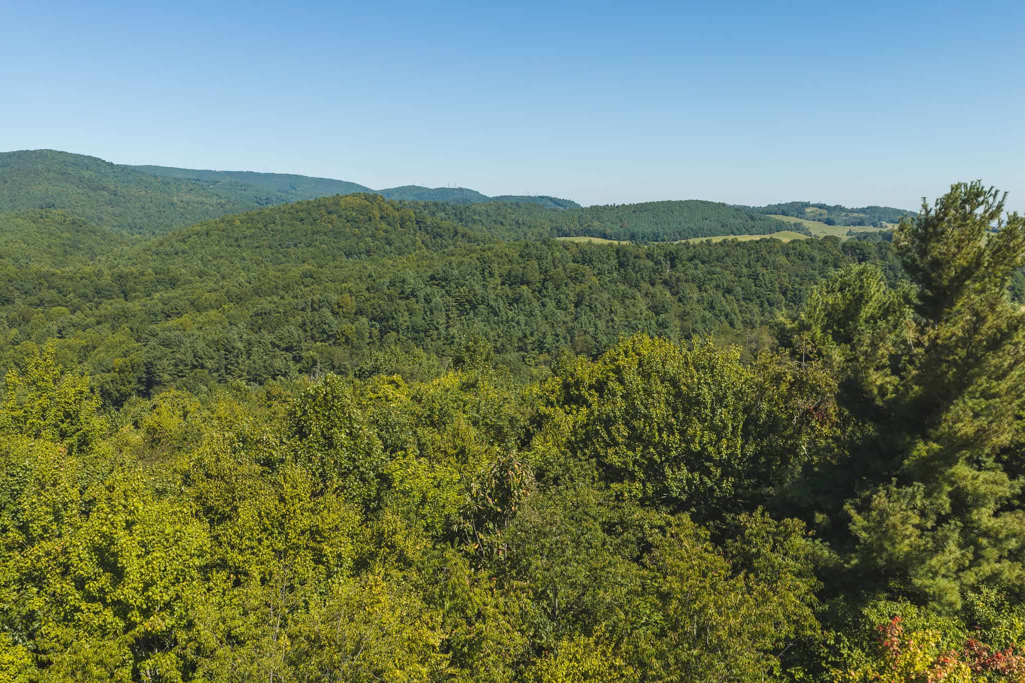 Large Recreational Tract for Sale in Bent Mountain VA
