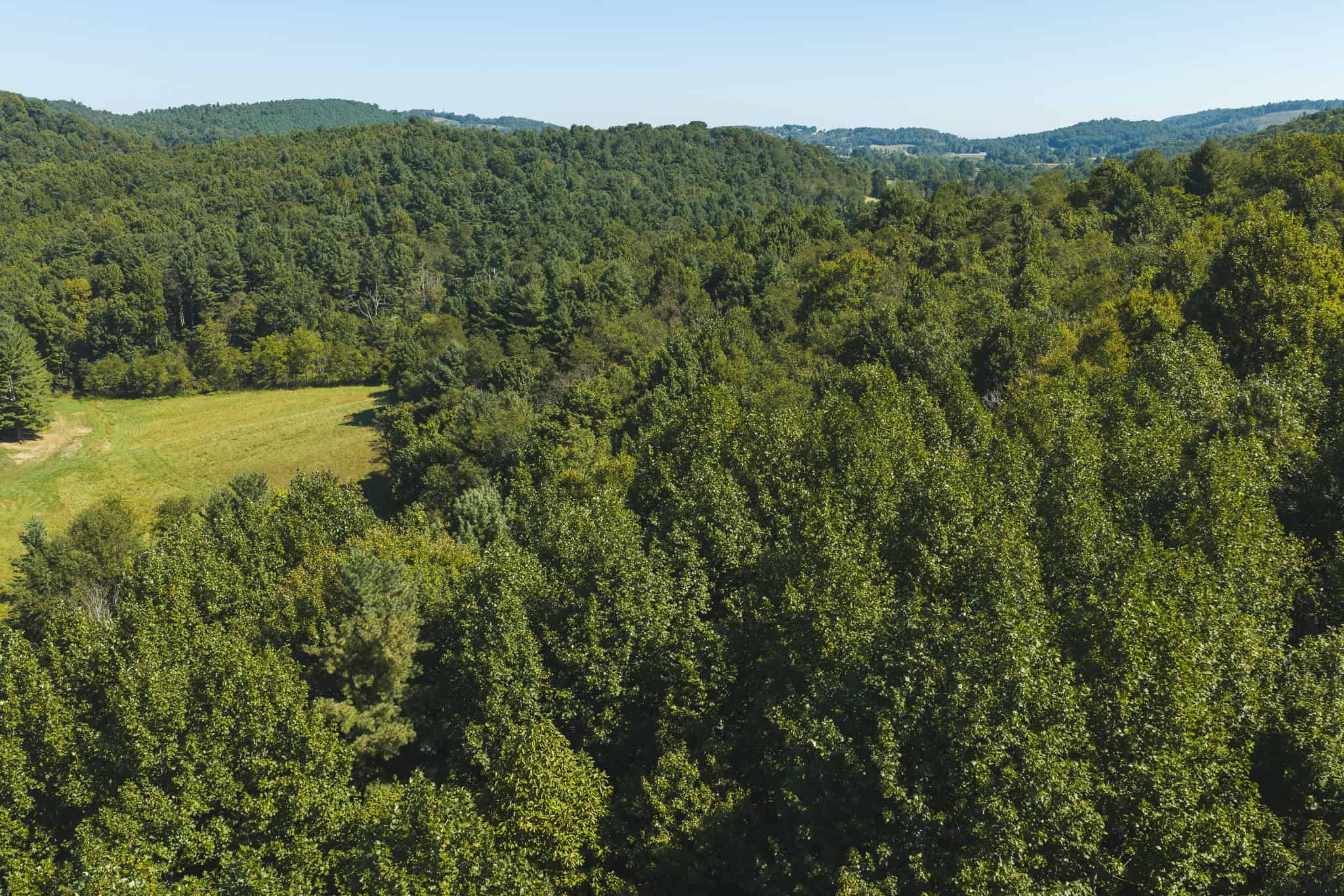 Large Recreational Tract for Sale in Bent Mountain VA