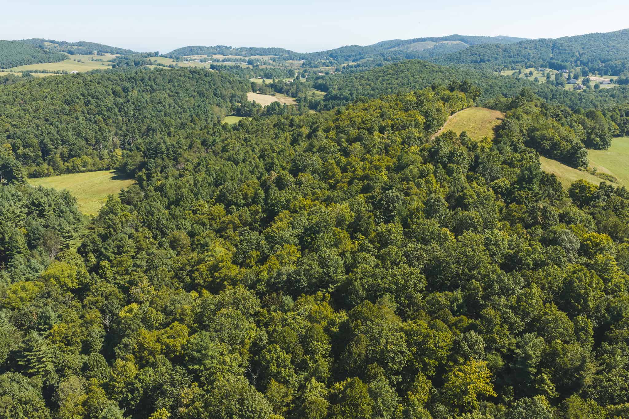 Large Recreational Tract for Sale in Bent Mountain VA