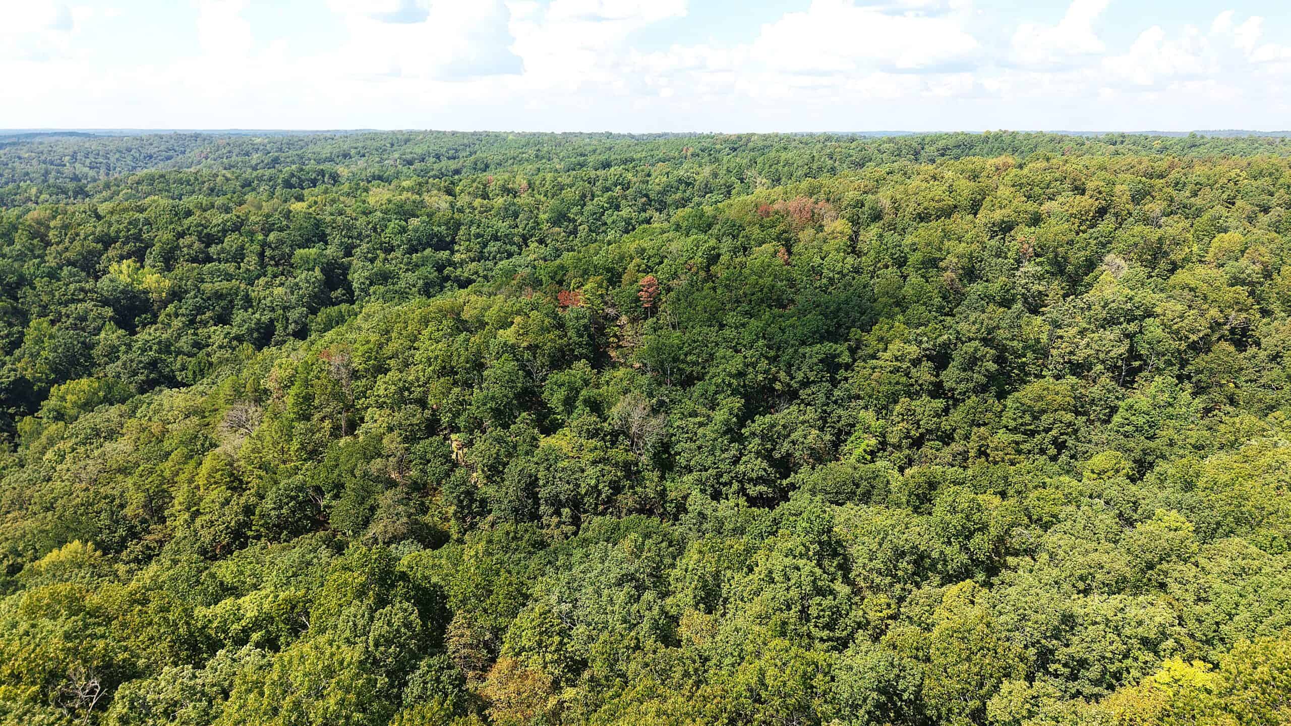 LAND FOR SALE IN NORTH CENTRAL ARKANSAS