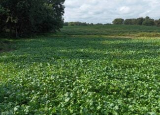 153+/- Acres — Lucas County, Iowa