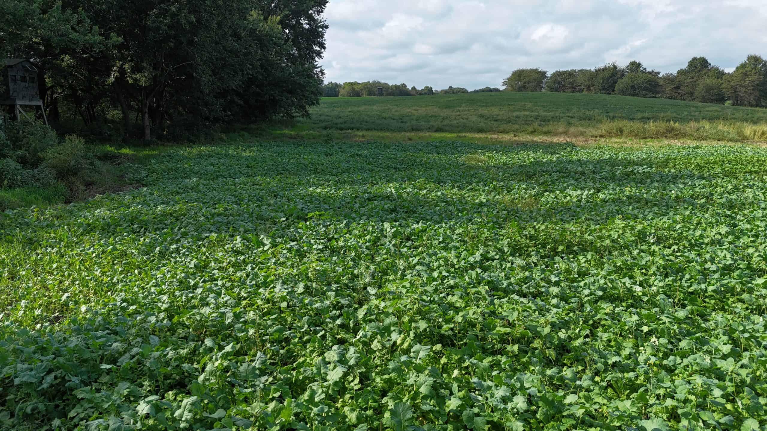 153+/- Acres — Lucas County, Iowa