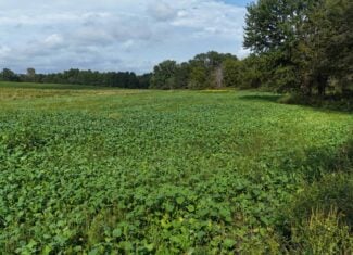 153+/- Acres — Lucas County, Iowa