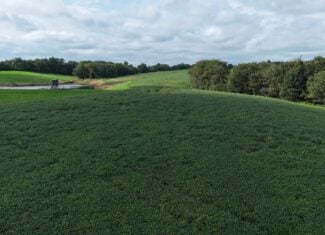153+/- Acres — Lucas County, Iowa