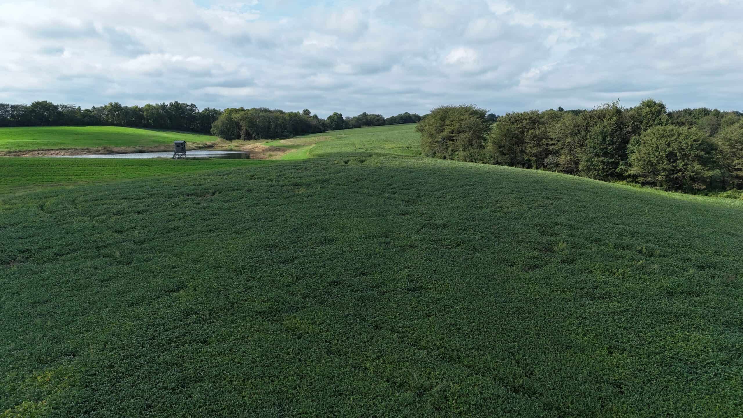 153+/- Acres — Lucas County, Iowa