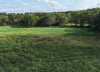 153+/- Acres — Lucas County, Iowa