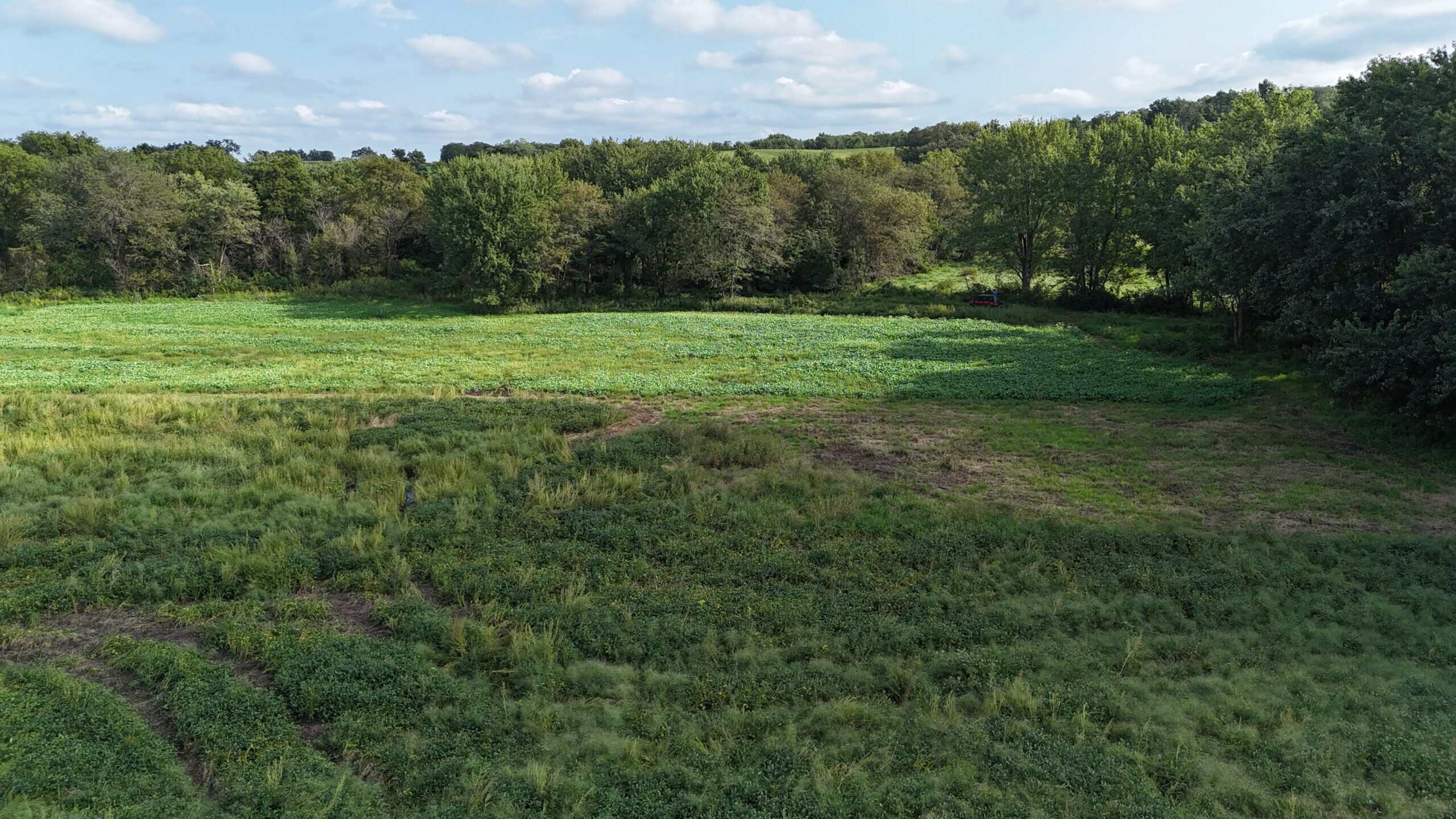 153+/- Acres — Lucas County, Iowa