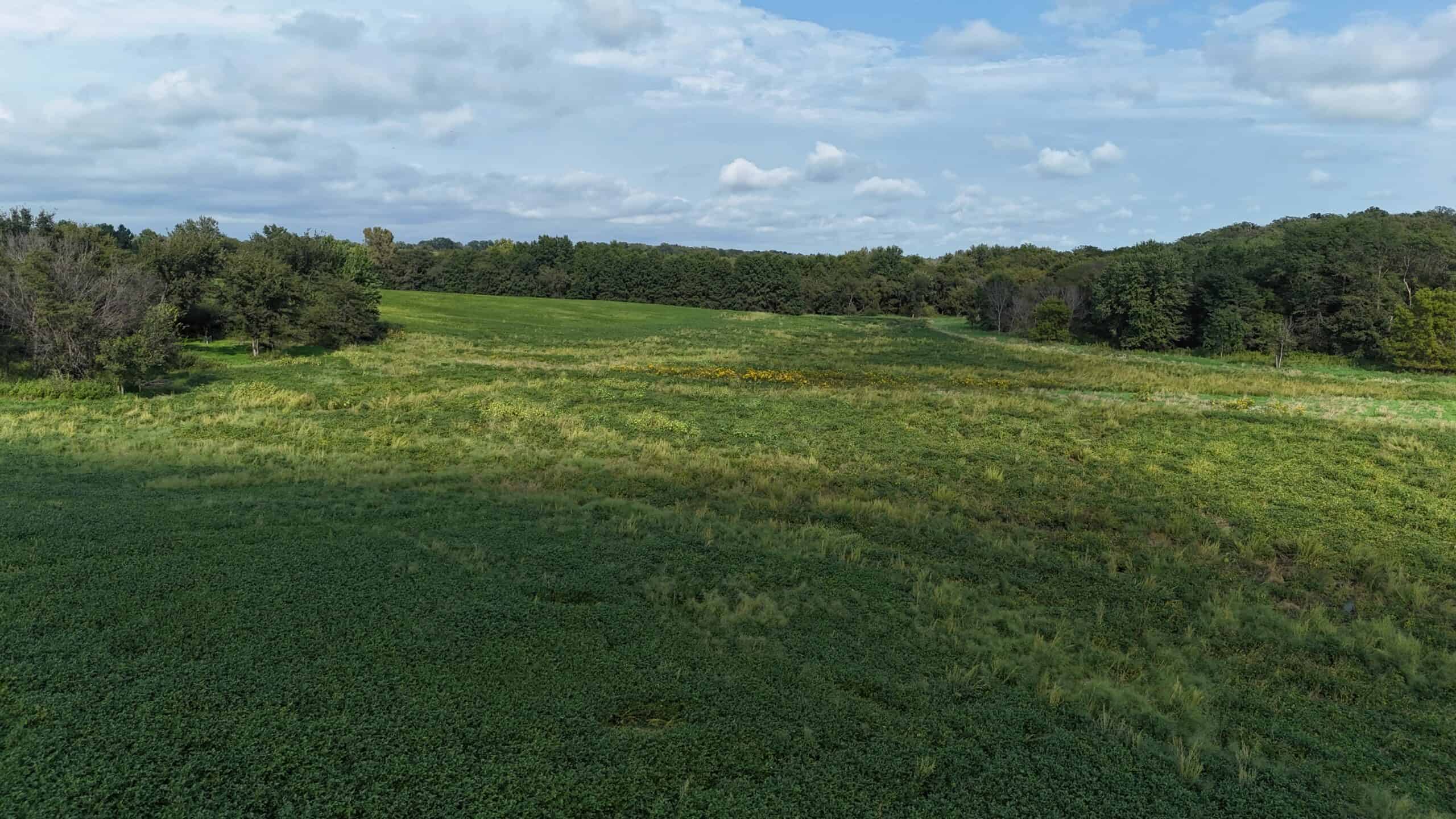 153+/- Acres — Lucas County, Iowa