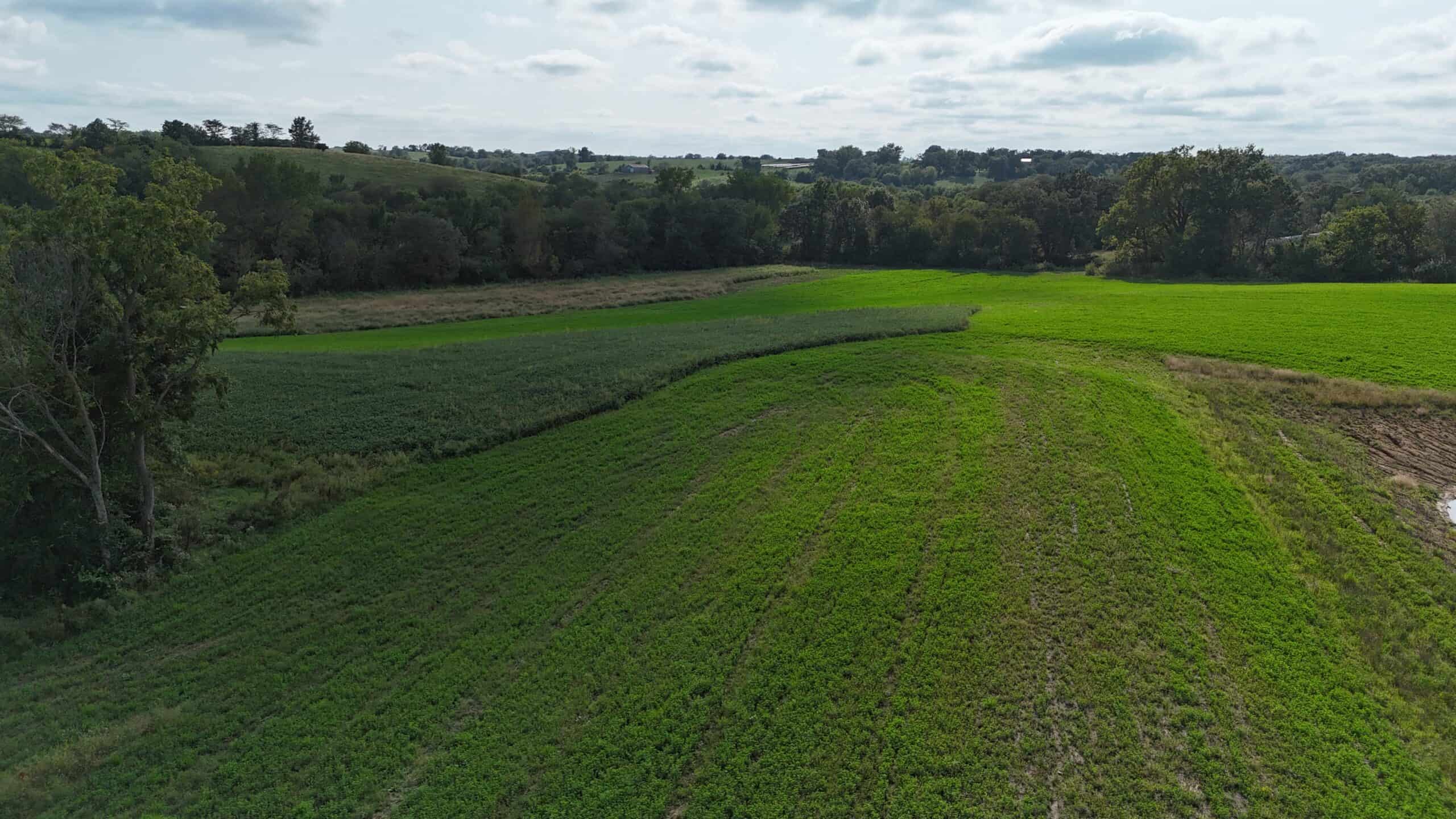 153+/- Acres — Lucas County, Iowa