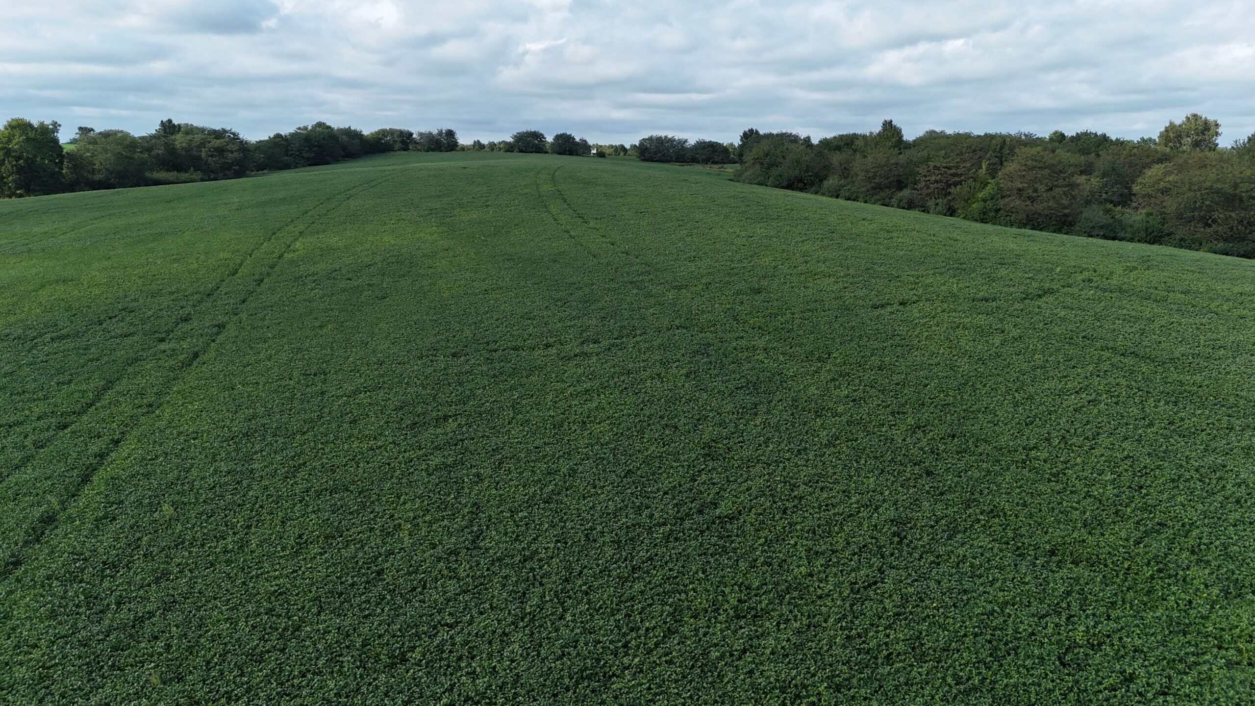 153+/- Acres — Lucas County, Iowa