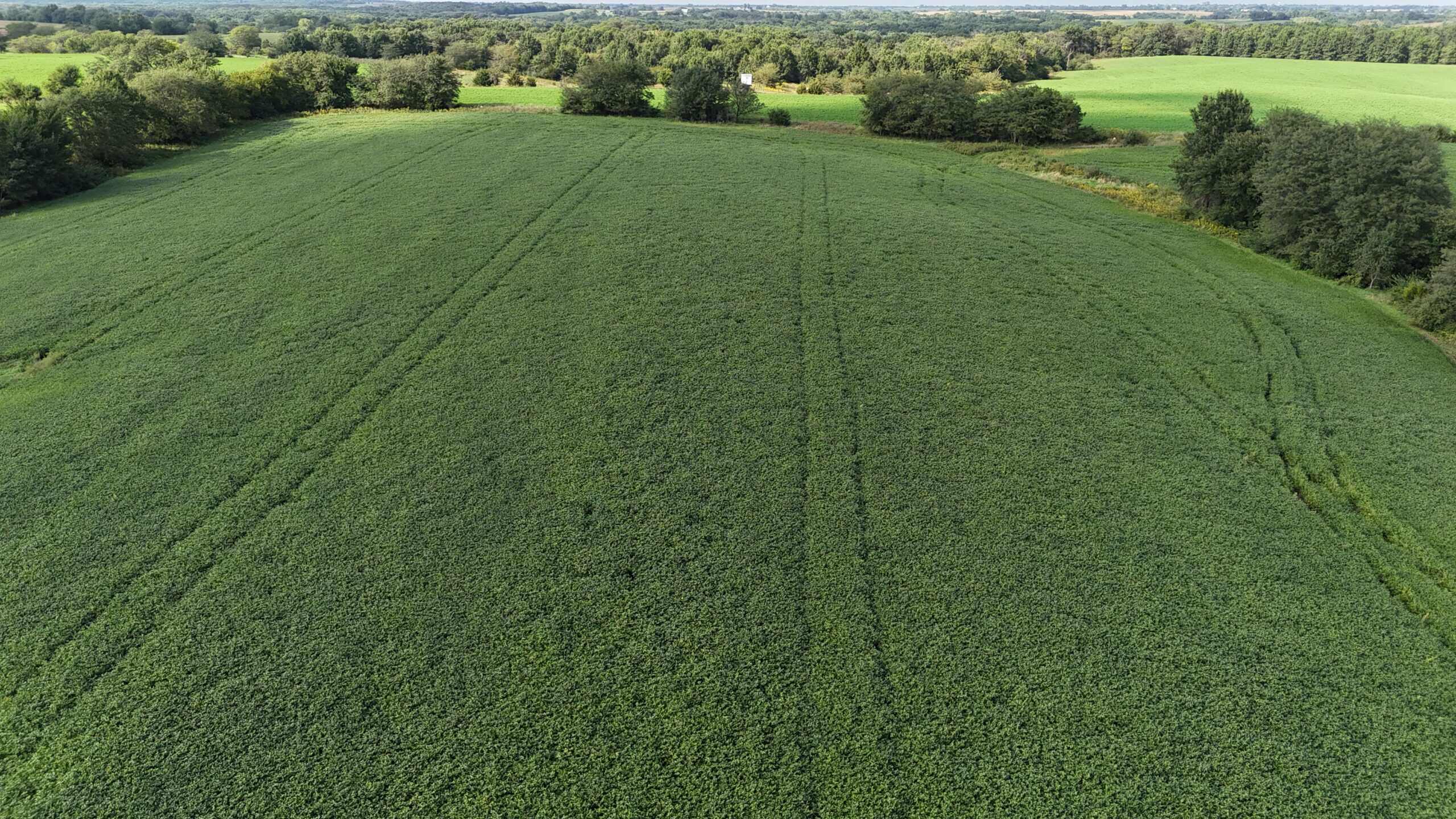 153+/- Acres — Lucas County, Iowa
