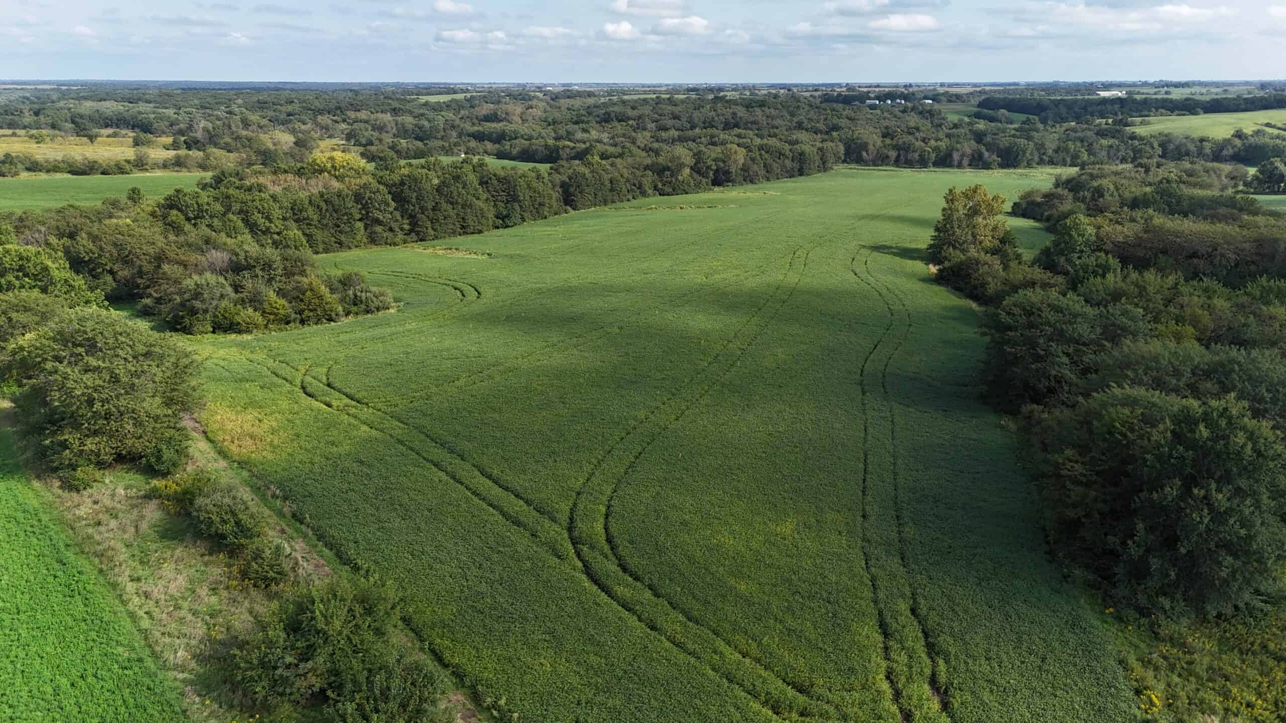 153+/- Acres — Lucas County, Iowa