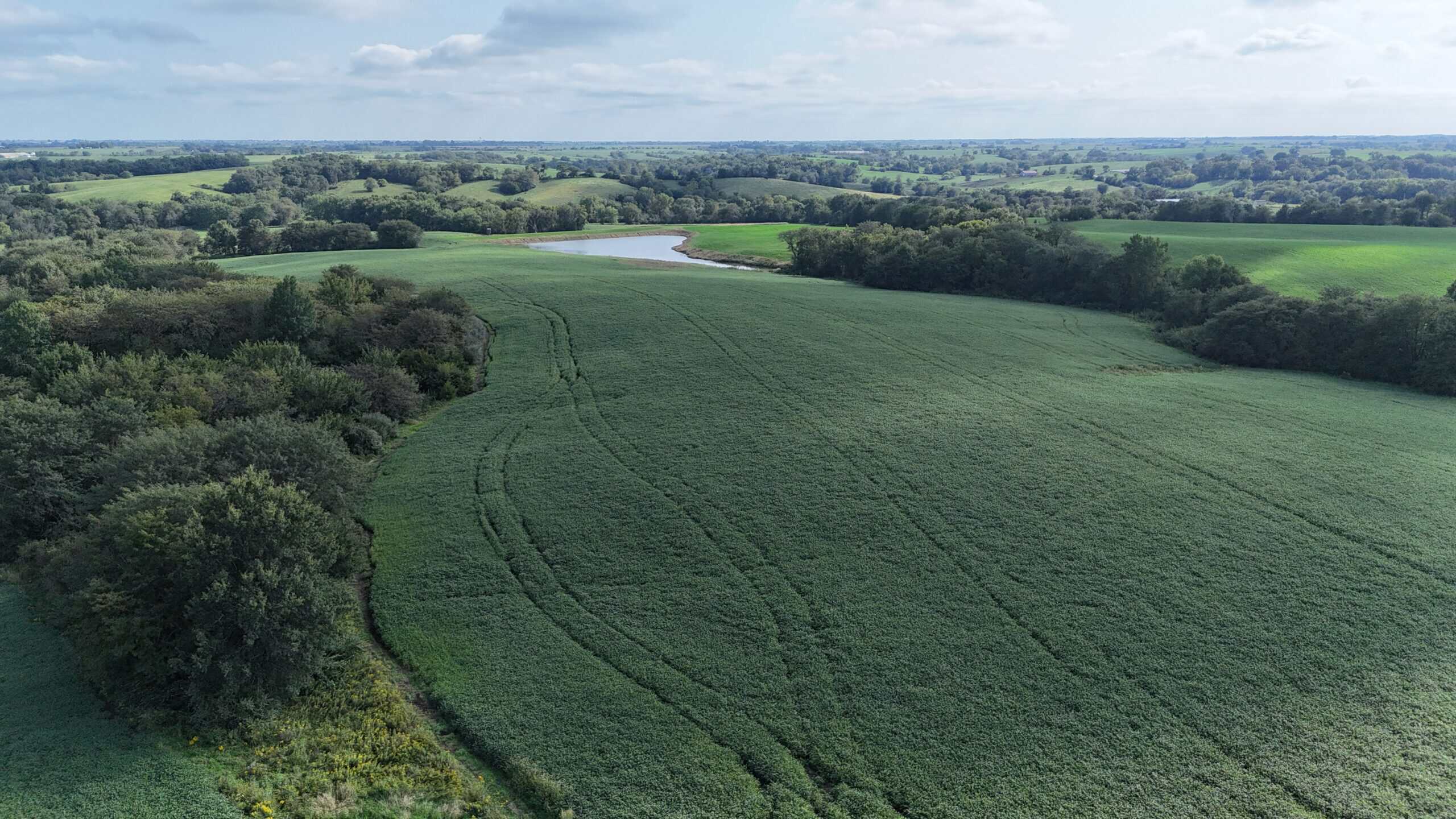 153+/- Acres — Lucas County, Iowa