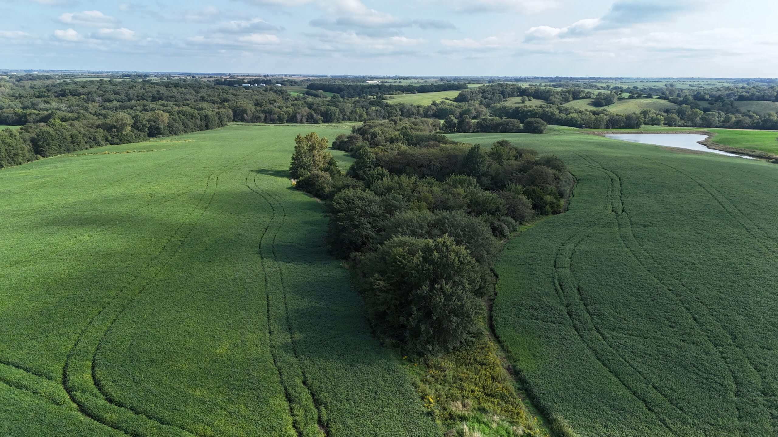 153+/- Acres — Lucas County, Iowa