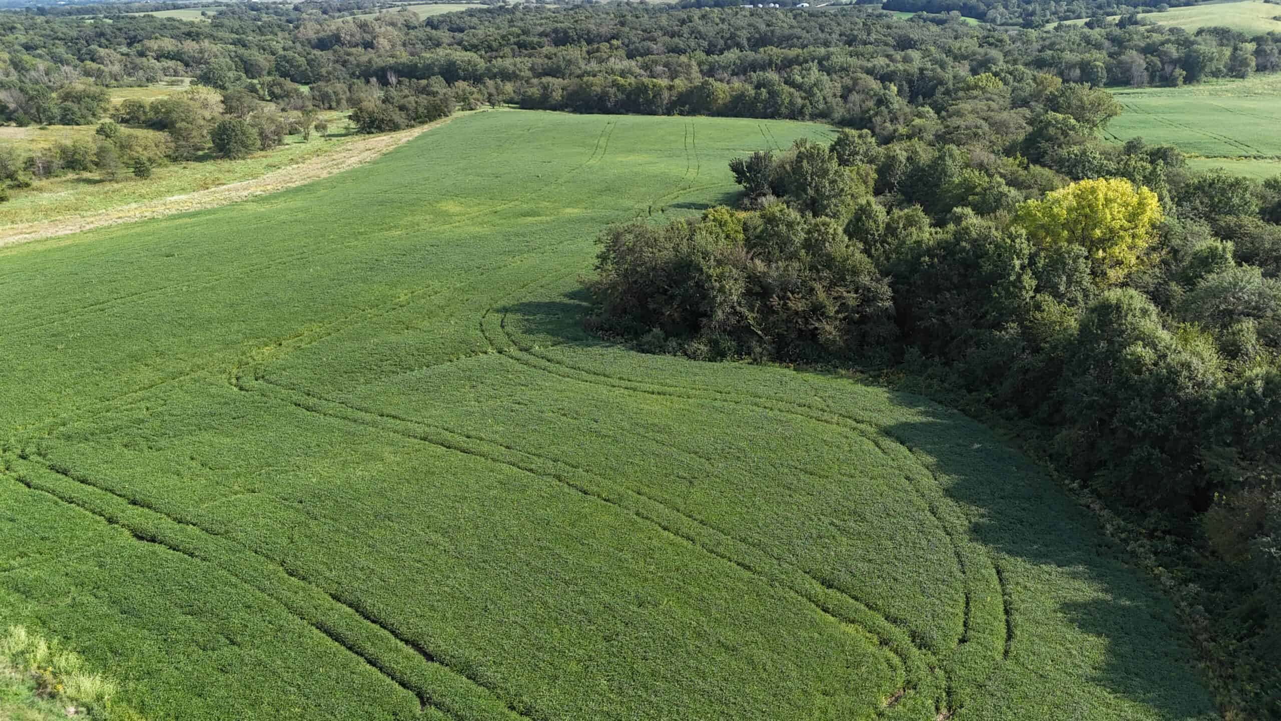 153+/- Acres — Lucas County, Iowa