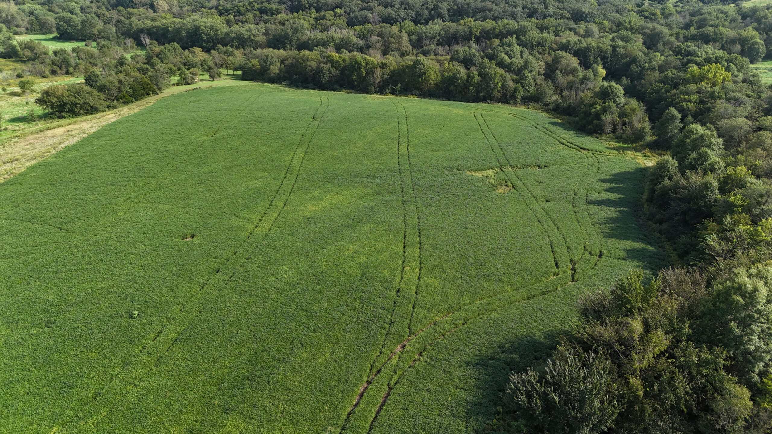 153+/- Acres — Lucas County, Iowa