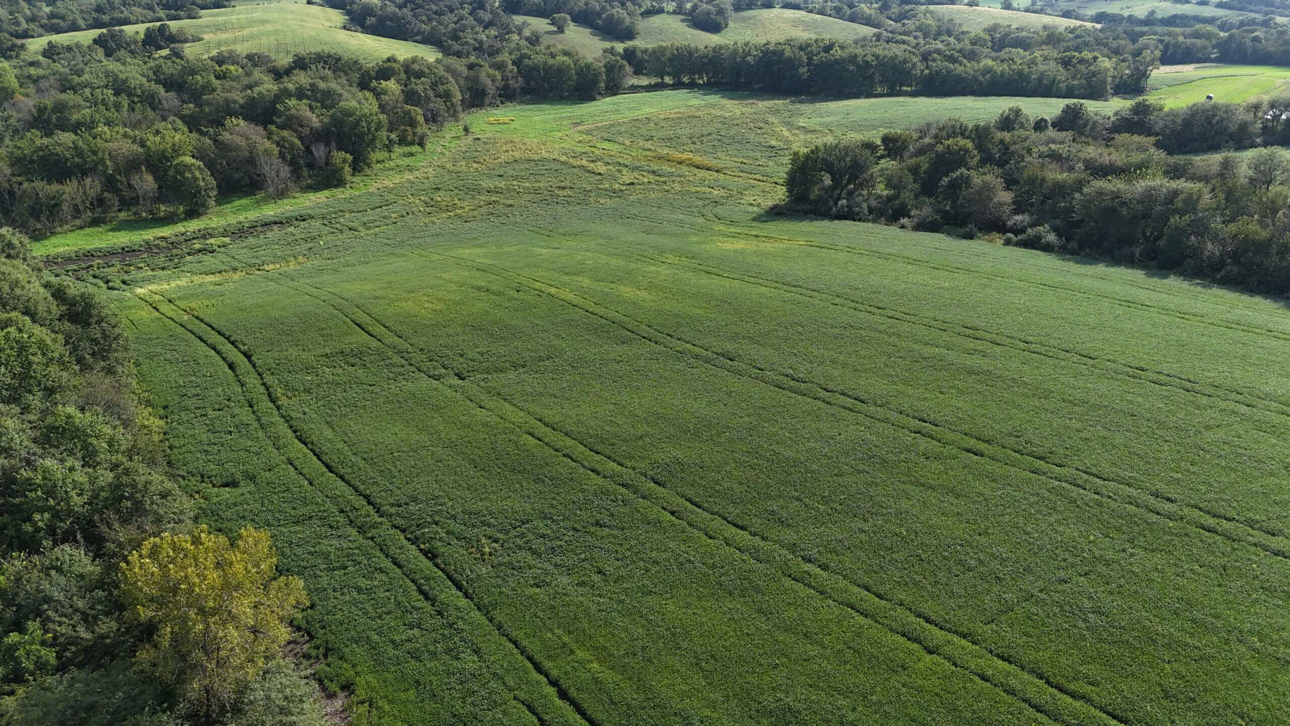153+/- Acres — Lucas County, Iowa