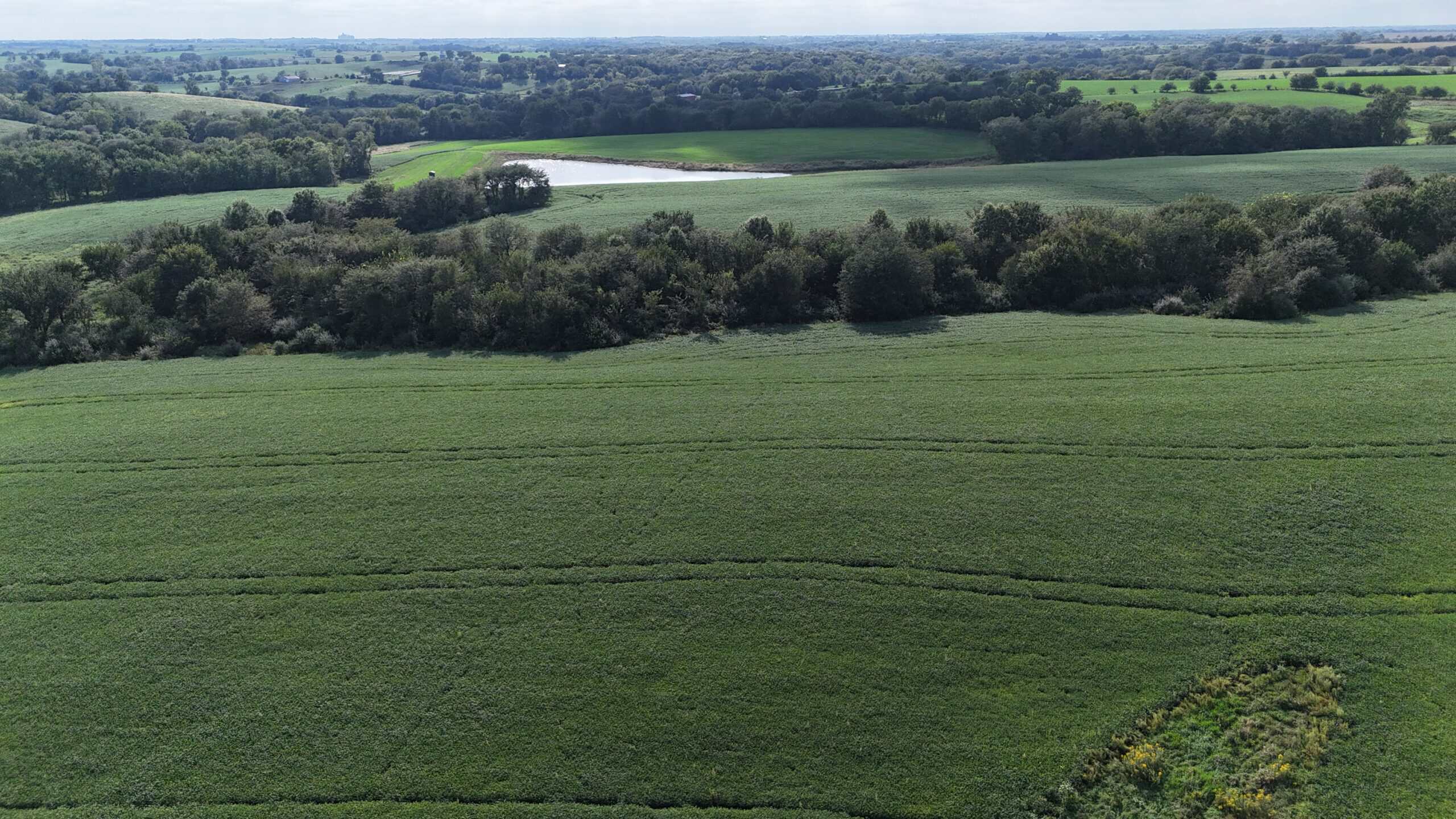 153+/- Acres — Lucas County, Iowa