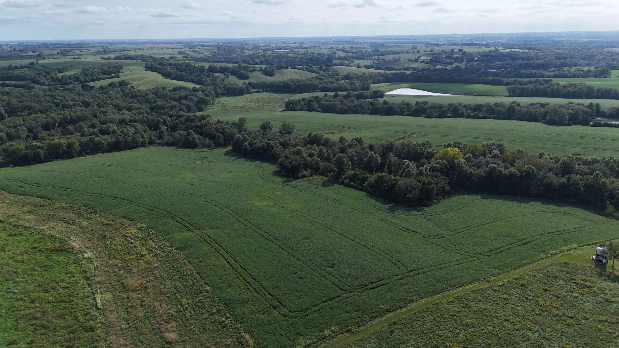 153+/- Acres — Lucas County, Iowa