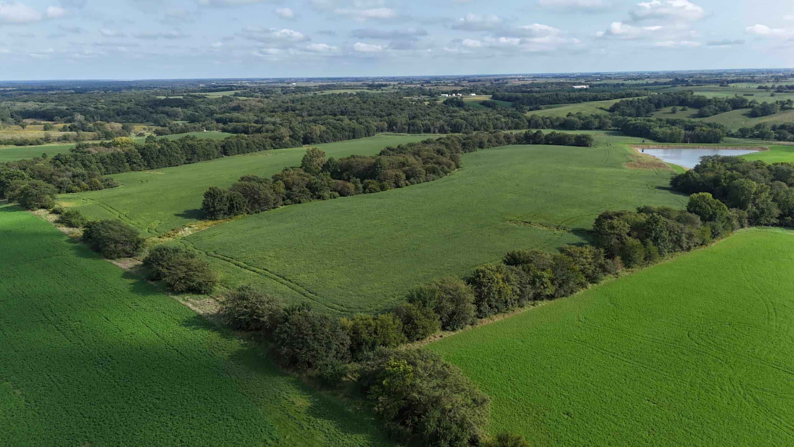 153+/- Acres — Lucas County, Iowa