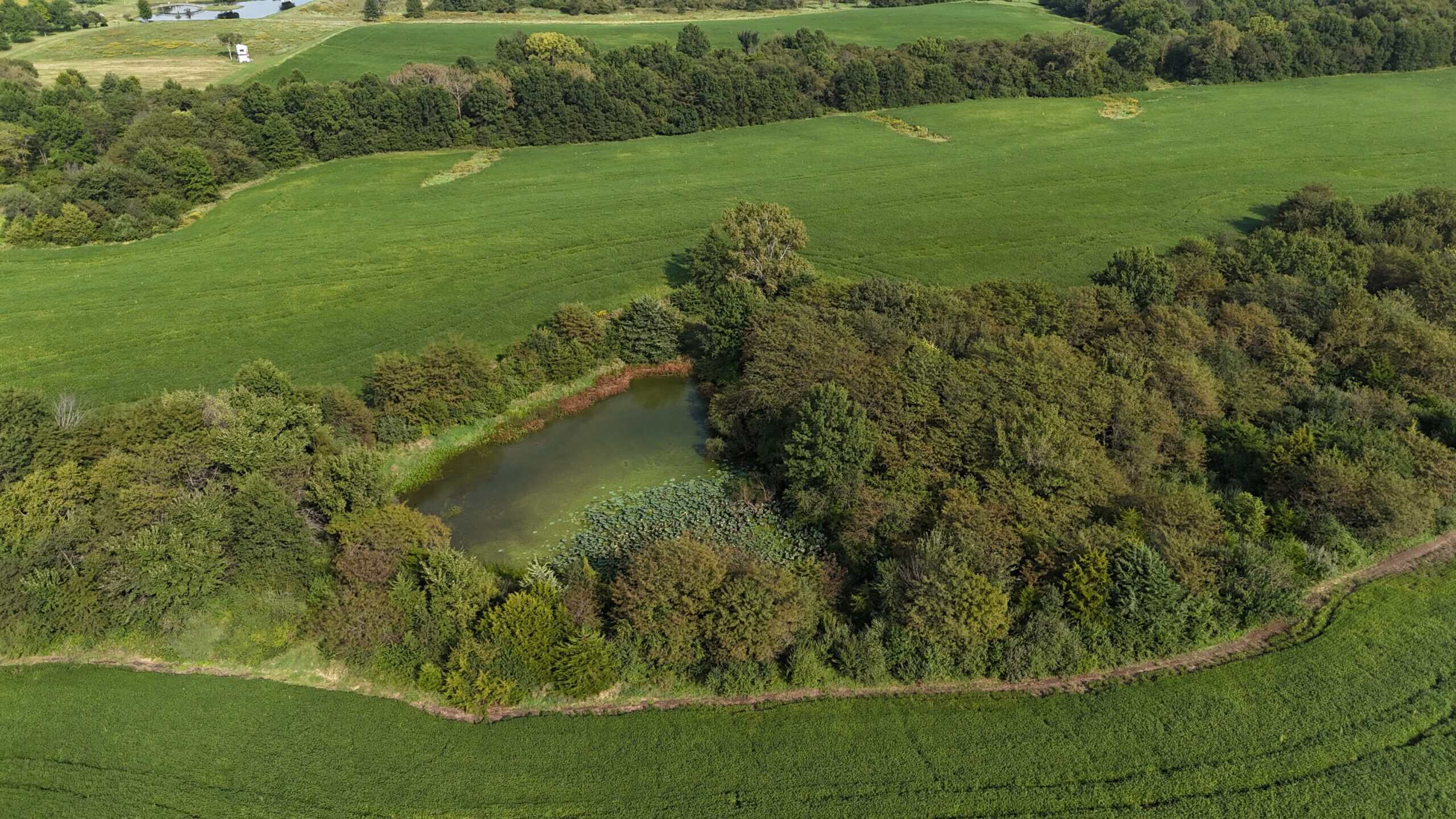 153+/- Acres — Lucas County, Iowa