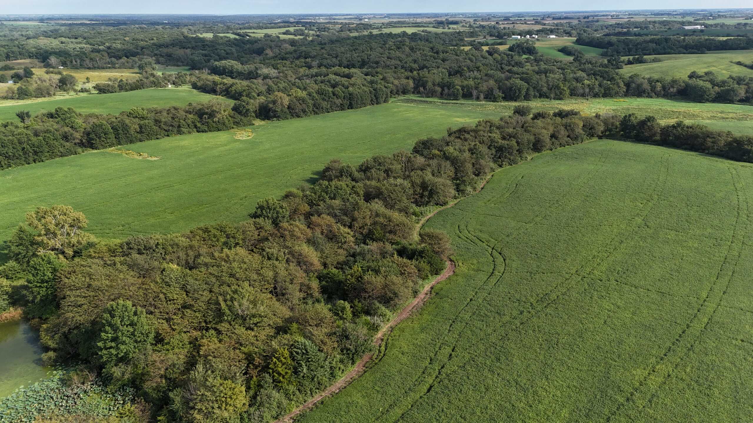 153+/- Acres — Lucas County, Iowa