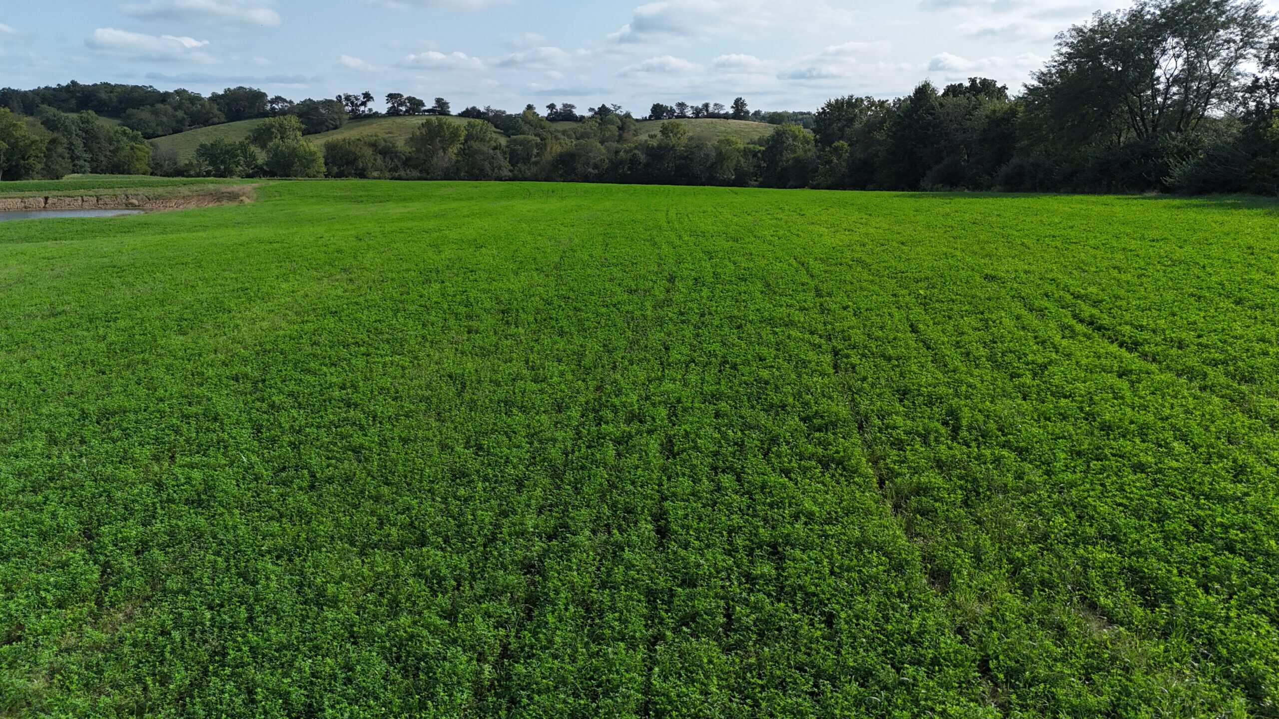 153+/- Acres — Lucas County, Iowa