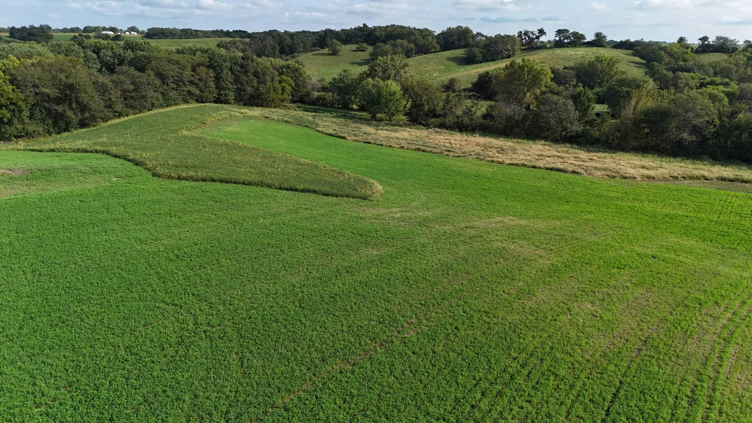 153+/- Acres — Lucas County, Iowa