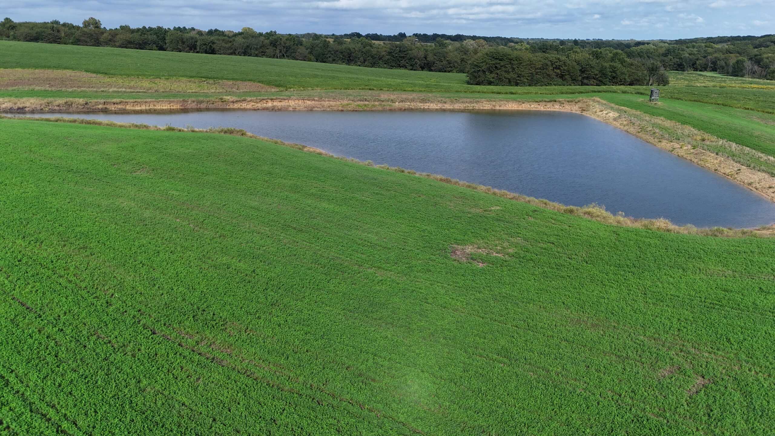 153+/- Acres — Lucas County, Iowa