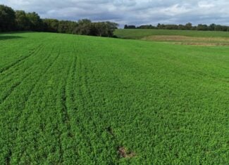 153+/- Acres — Lucas County, Iowa
