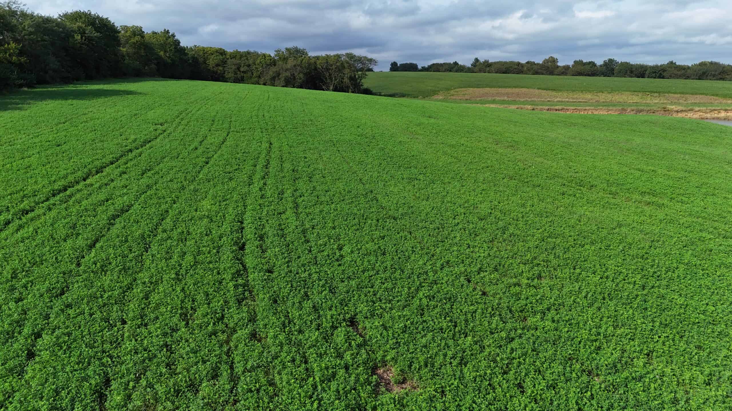 153+/- Acres — Lucas County, Iowa