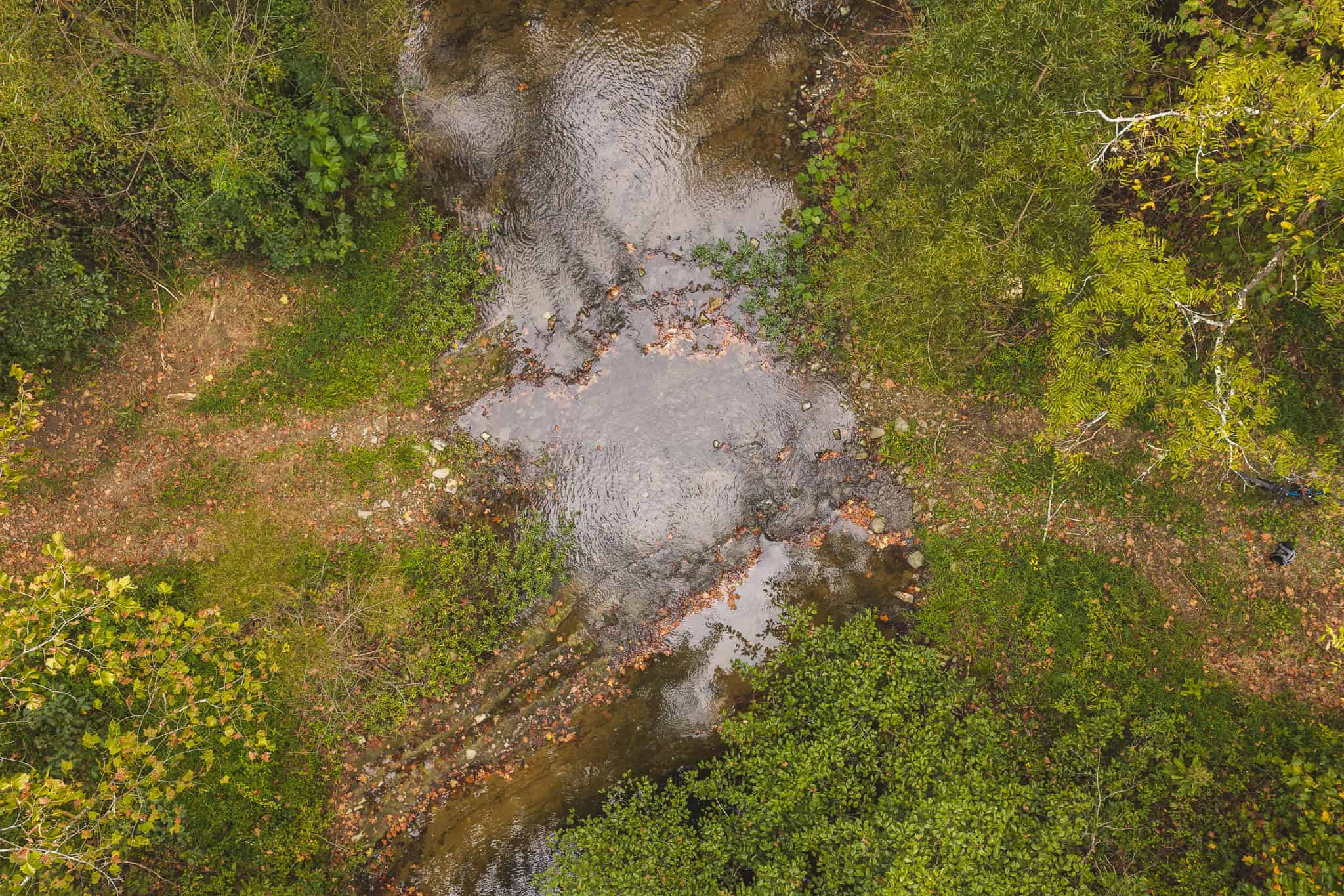 Auction-East Tennessee Hunting Land-Hawkins County-Creek Springs