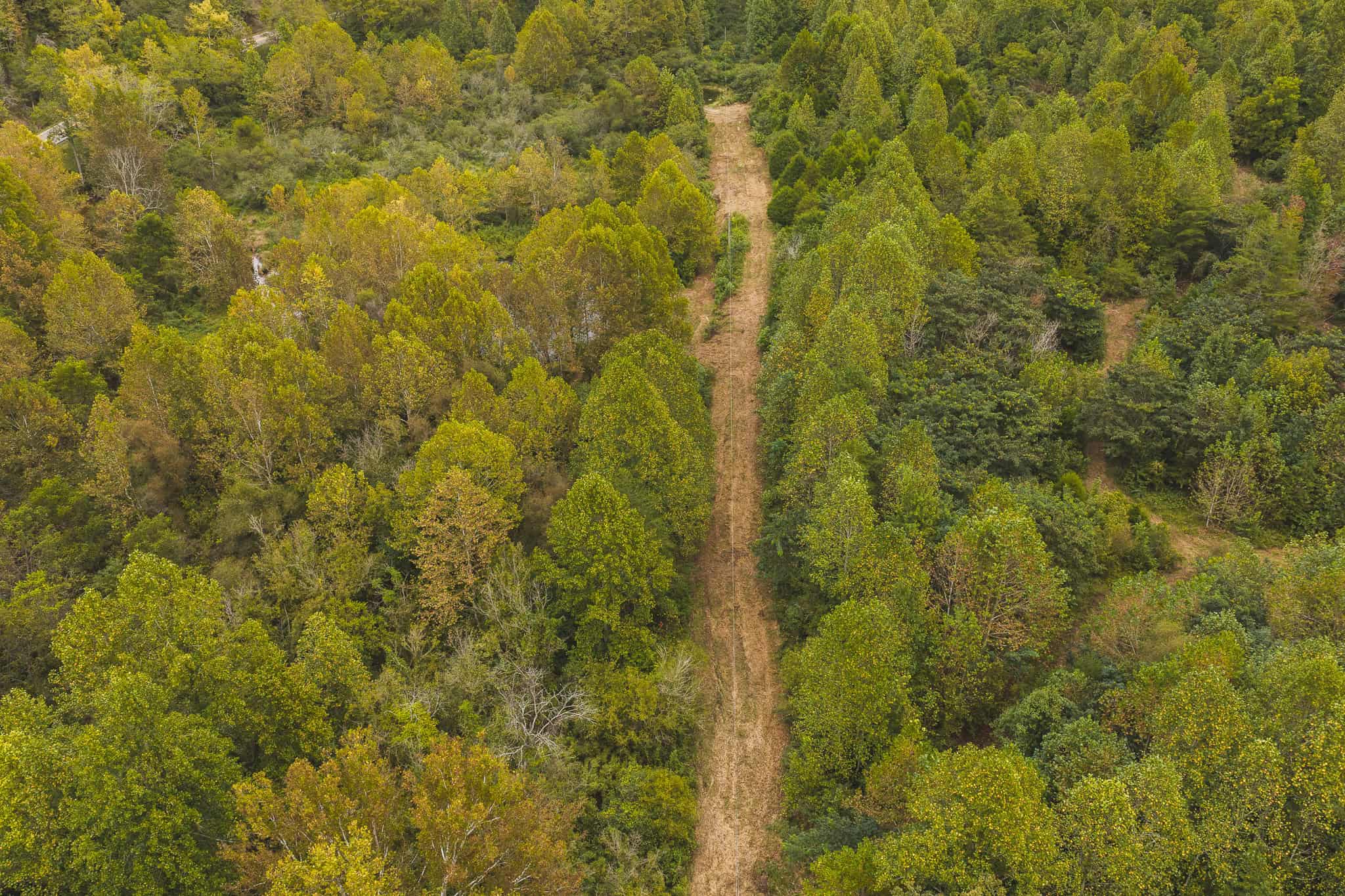 Auction-East Tennessee Hunting Land-Hawkins County-Creek Springs