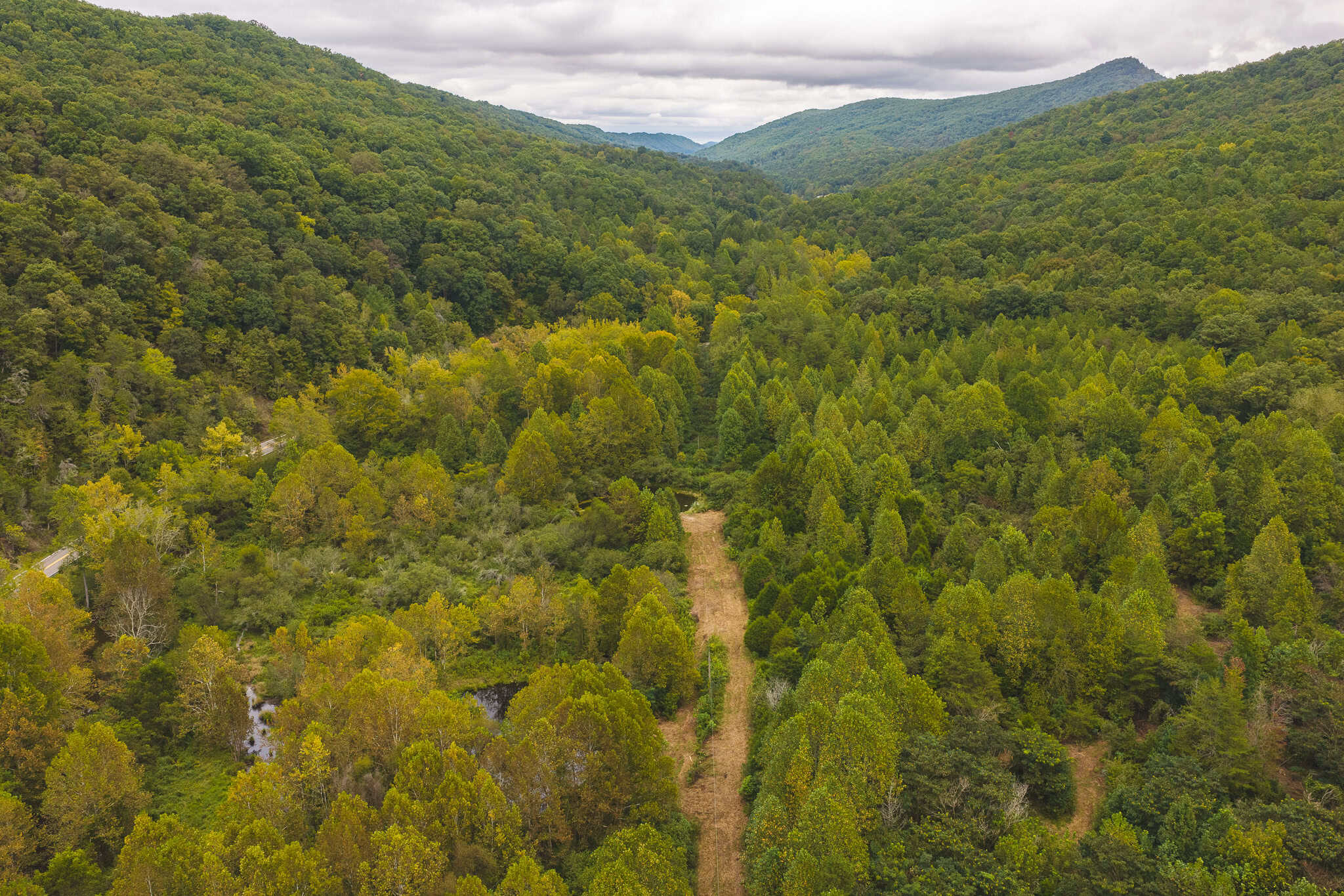 Auction-East Tennessee Hunting Land-Hawkins County-Creek Springs