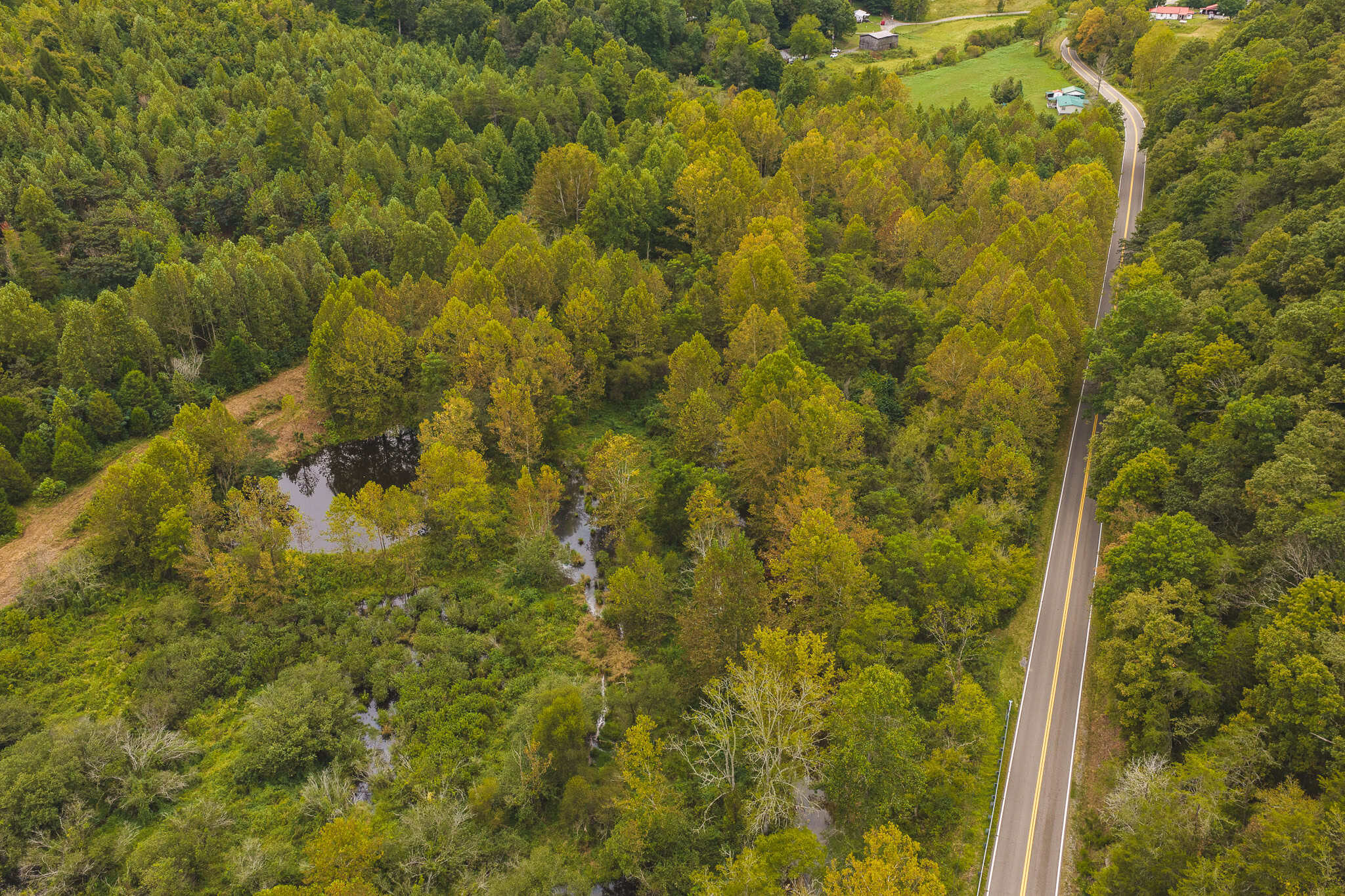 Auction-East Tennessee Hunting Land-Hawkins County-Creek Springs