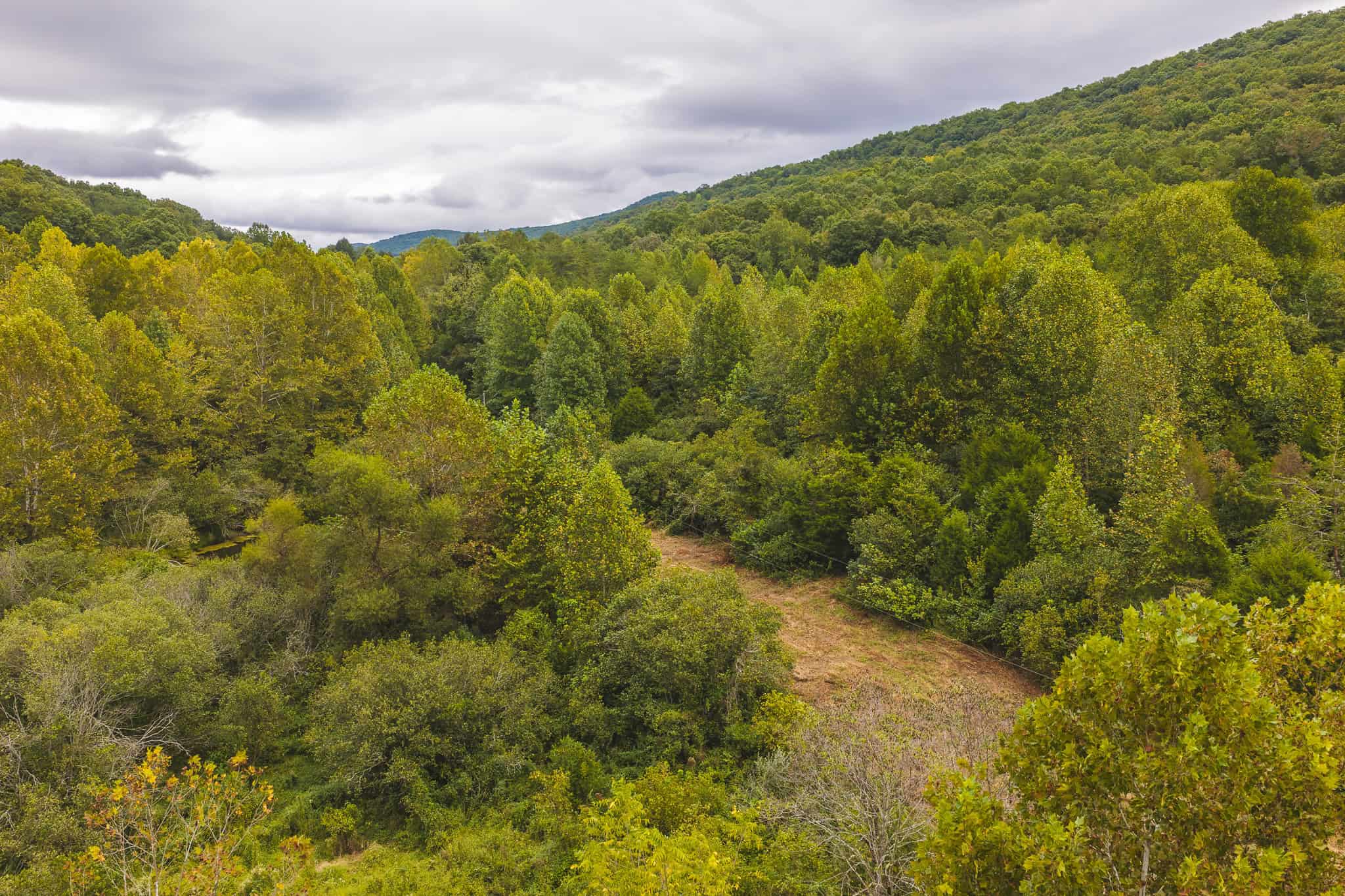 Auction-East Tennessee Hunting Land-Hawkins County-Creek Springs