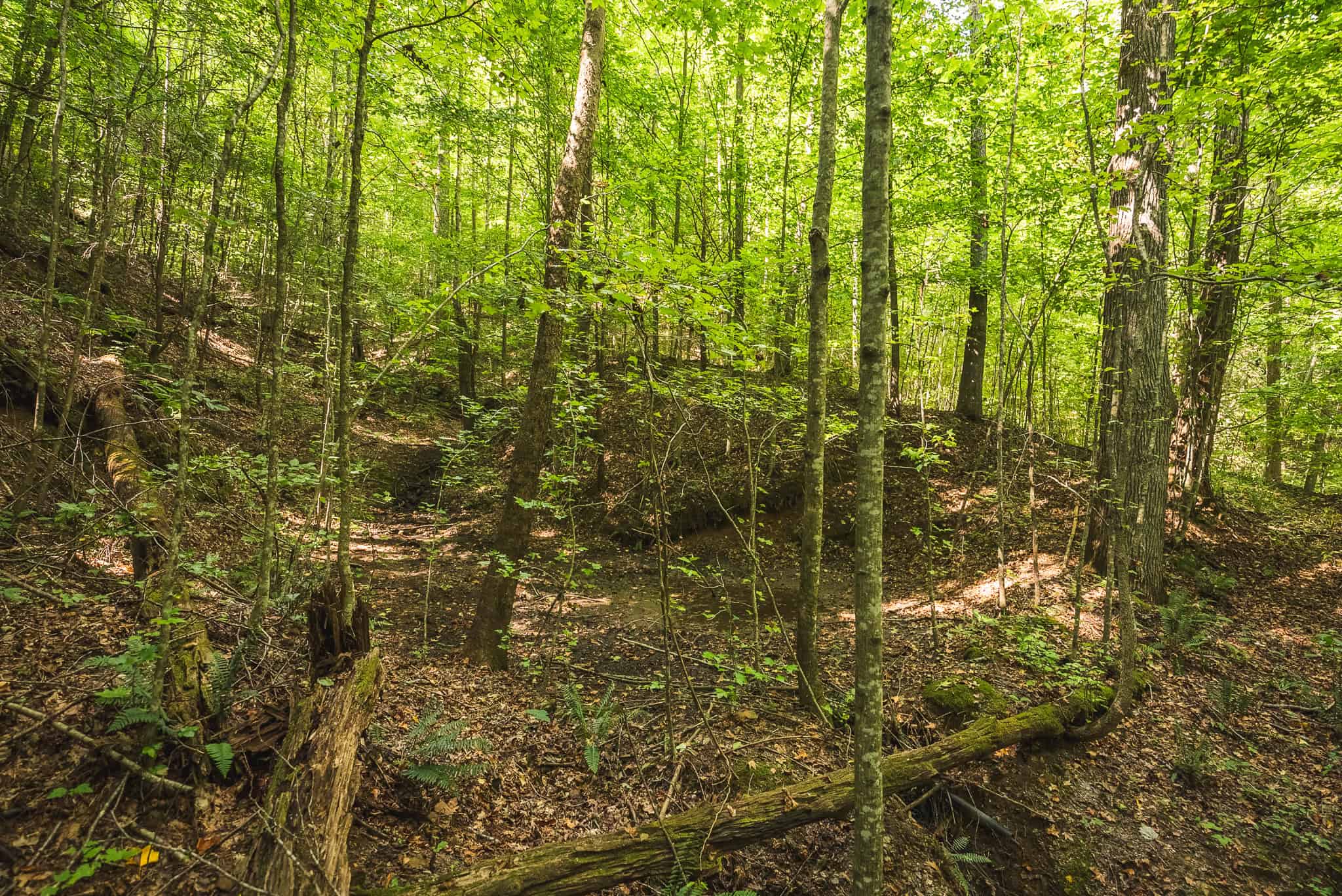 89.608 Acres | Claiborne County, TN | Adjoins Cumberland Trail – Auction