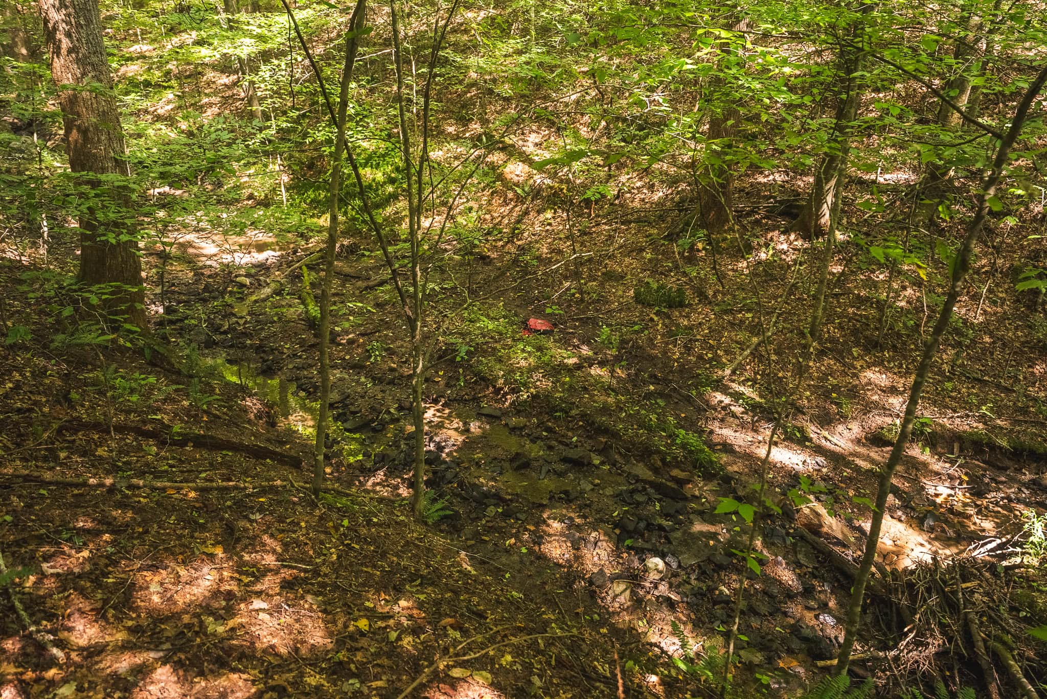 89.608 Acres | Claiborne County, TN | Adjoins Cumberland Trail – Auction