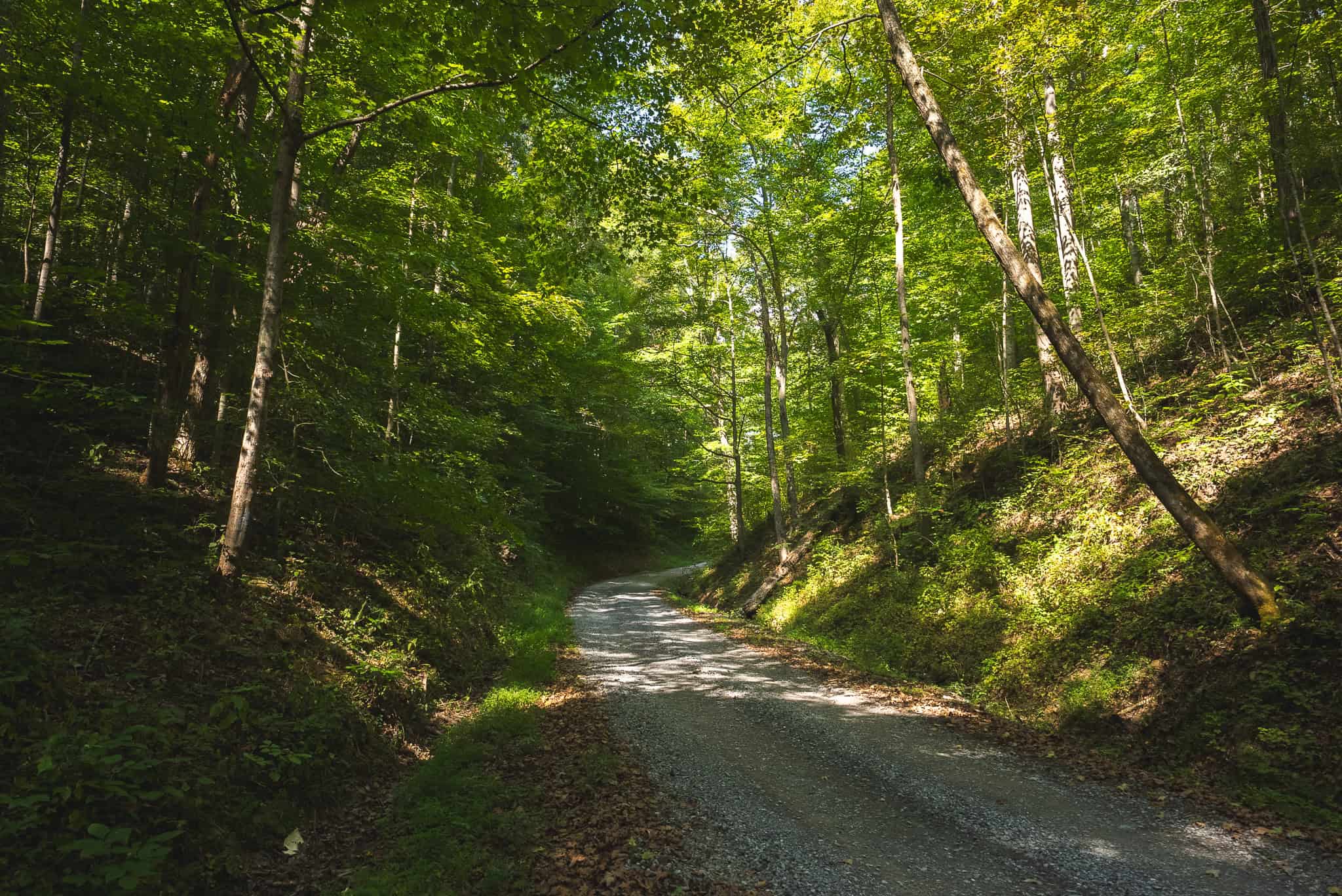 Unrestricted Riverfront Land in Hawkins County, TN-Holston River