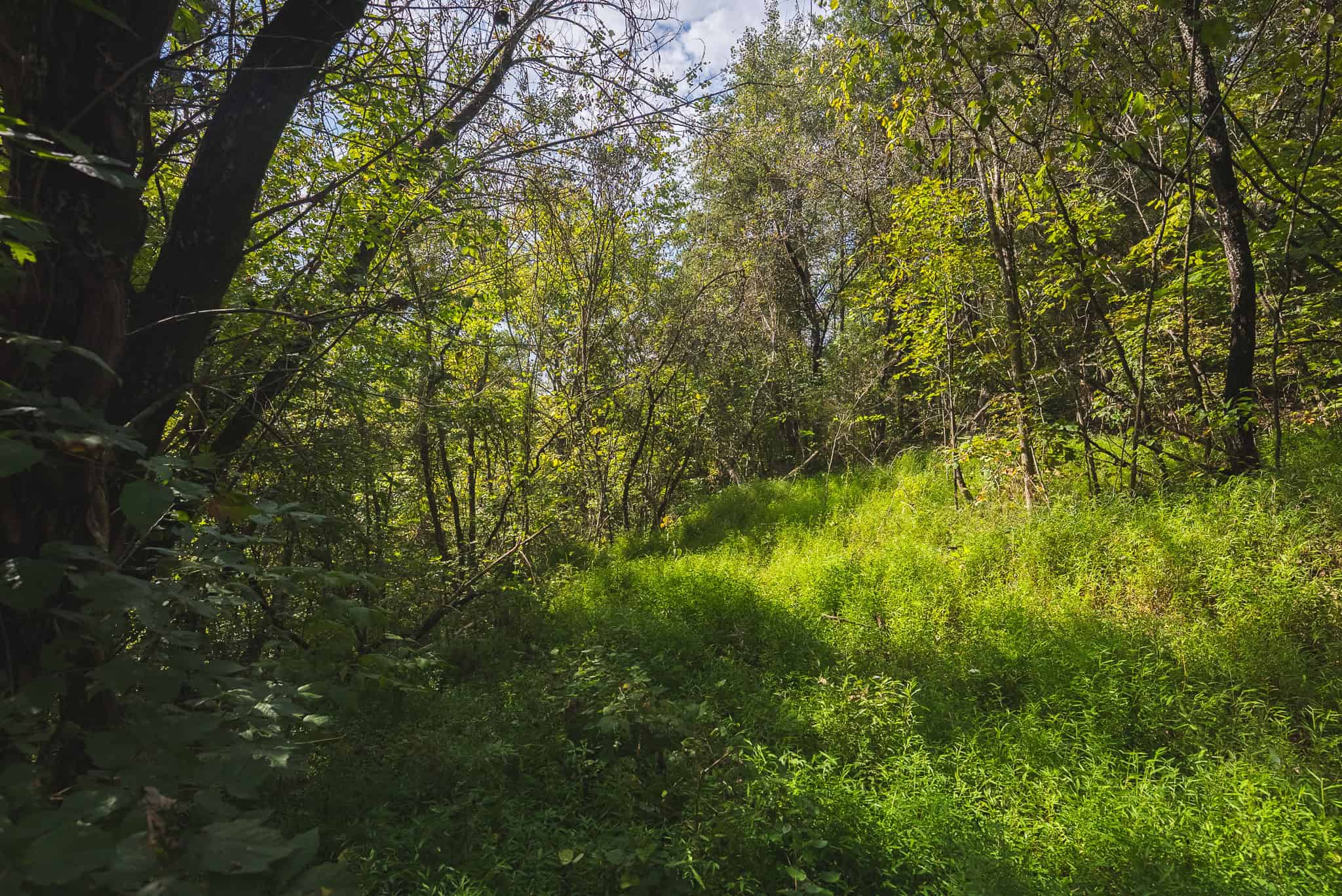 Unrestricted Riverfront Land in Hawkins County, TN-Holston River