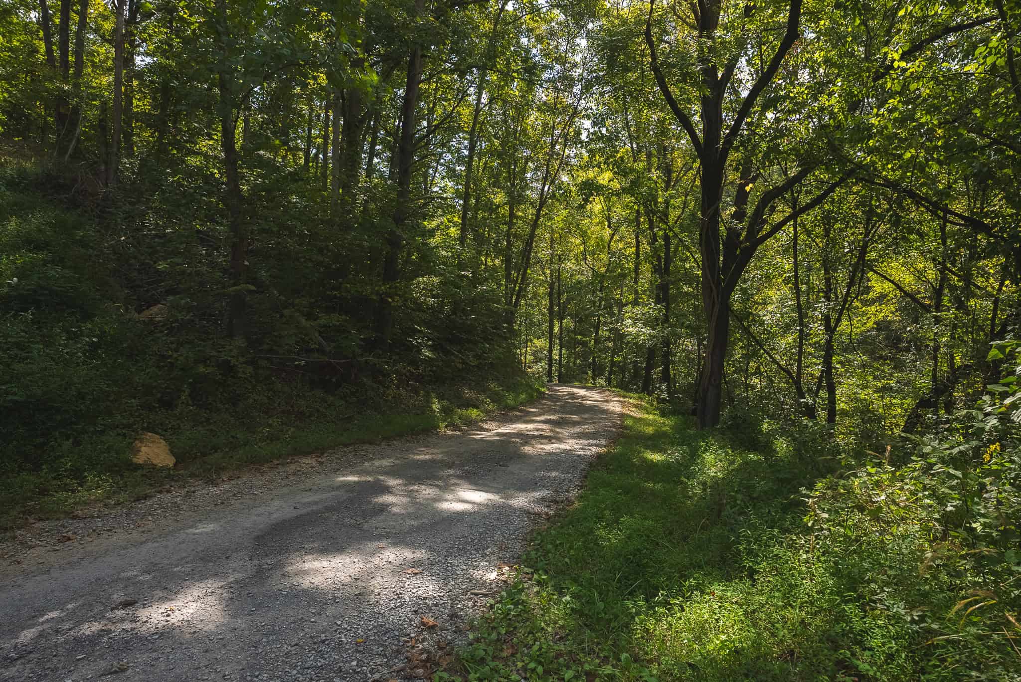 Unrestricted Riverfront Land in Hawkins County, TN-Holston River
