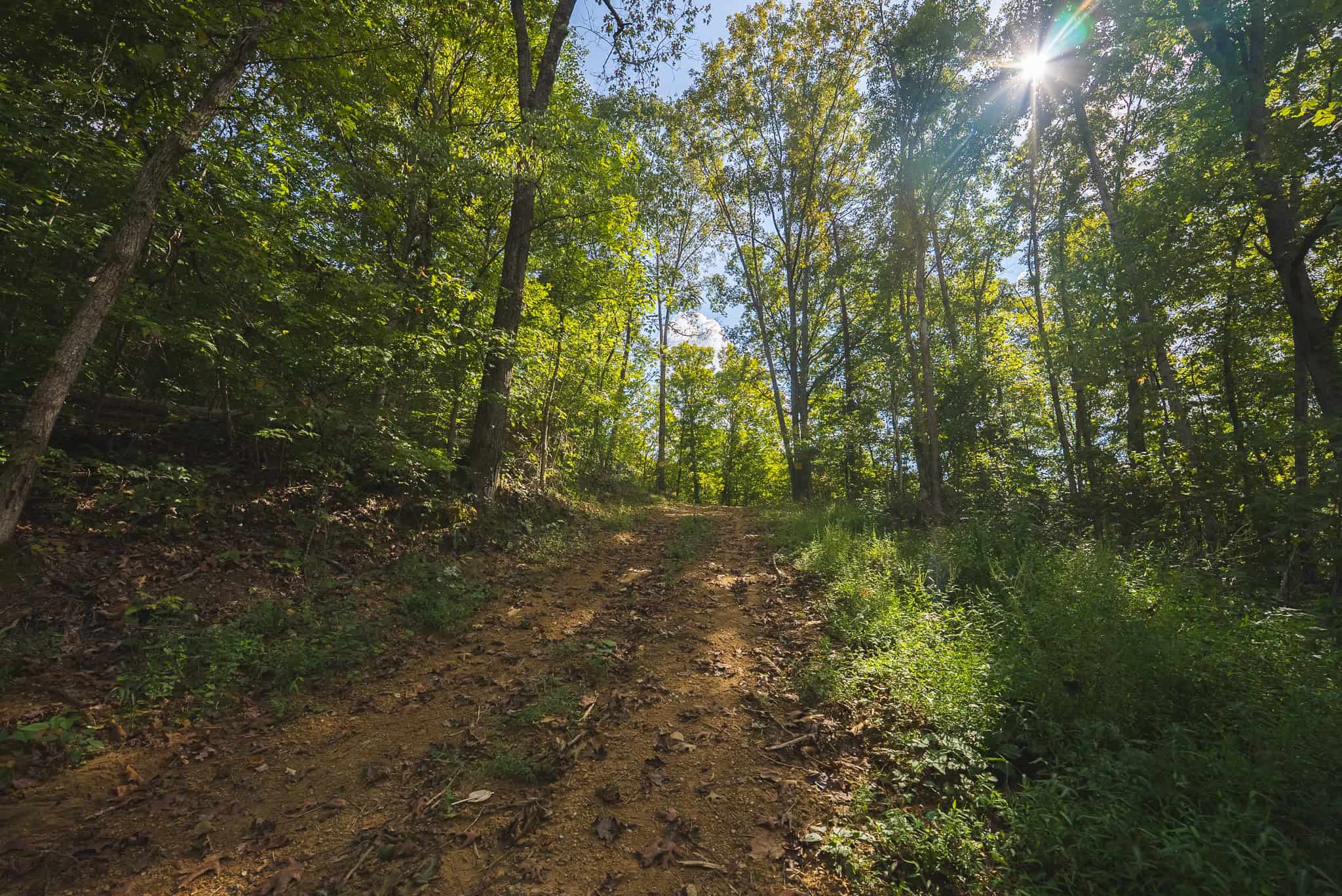Unrestricted Riverfront Land in Hawkins County, TN-Holston River